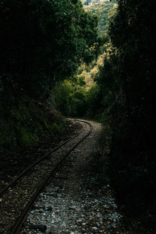 train rail in the forest in Milies Greece