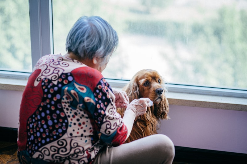 Best Pets for Seniors — Complete Guide to Choosing the Right Companion After 65