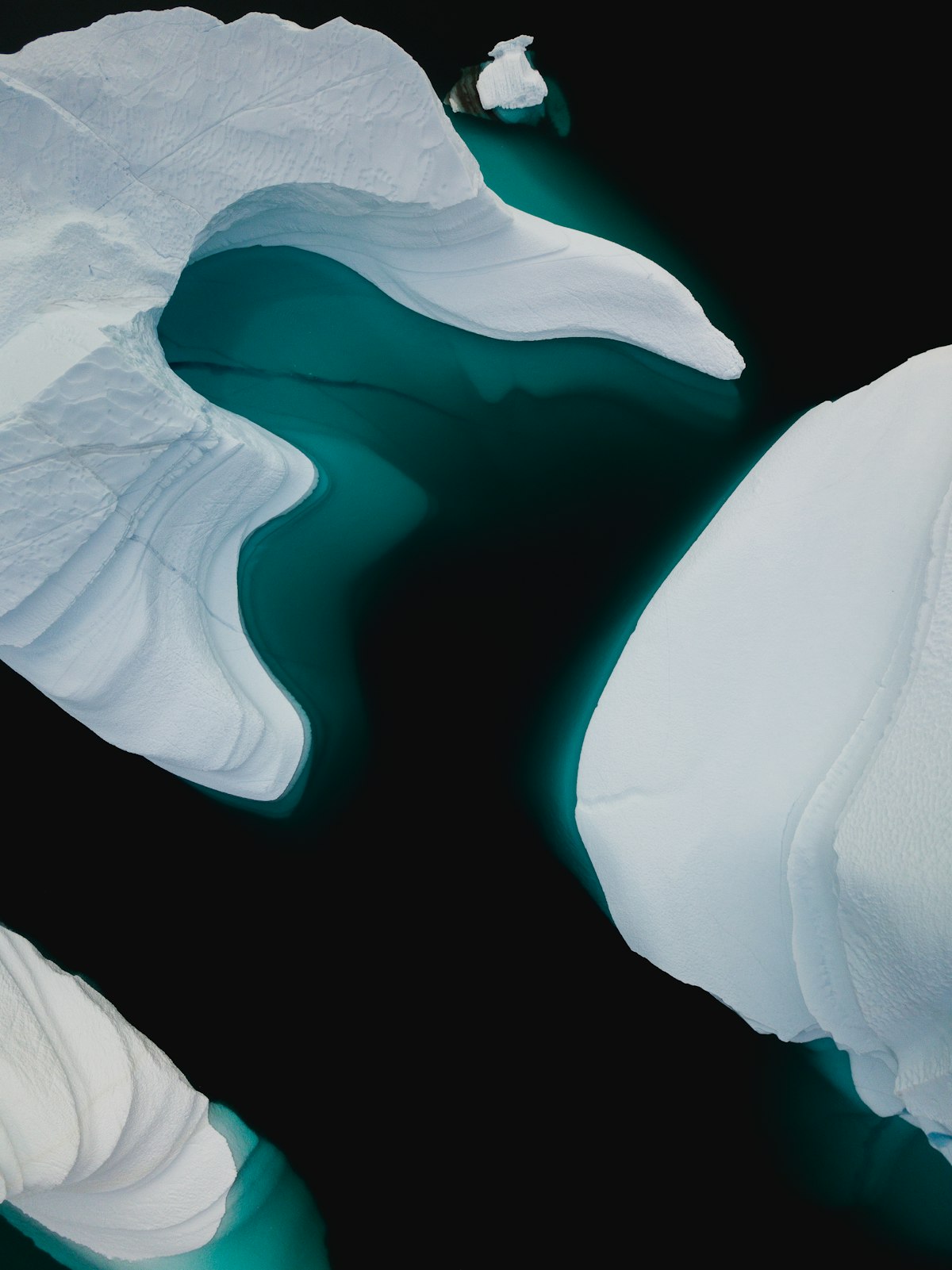 White-and-black abstract painting, contained restraint