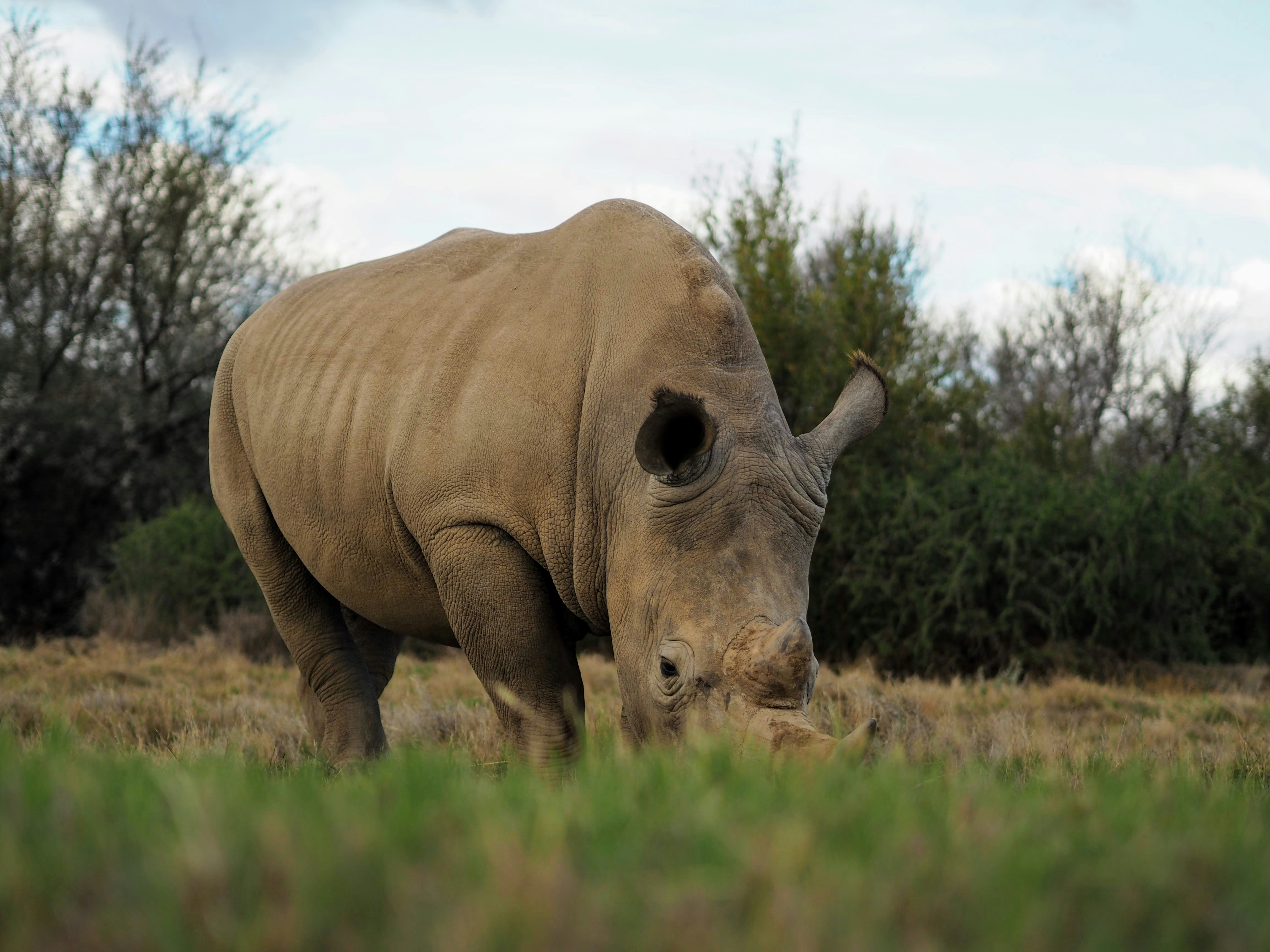 Photo by trev_morris