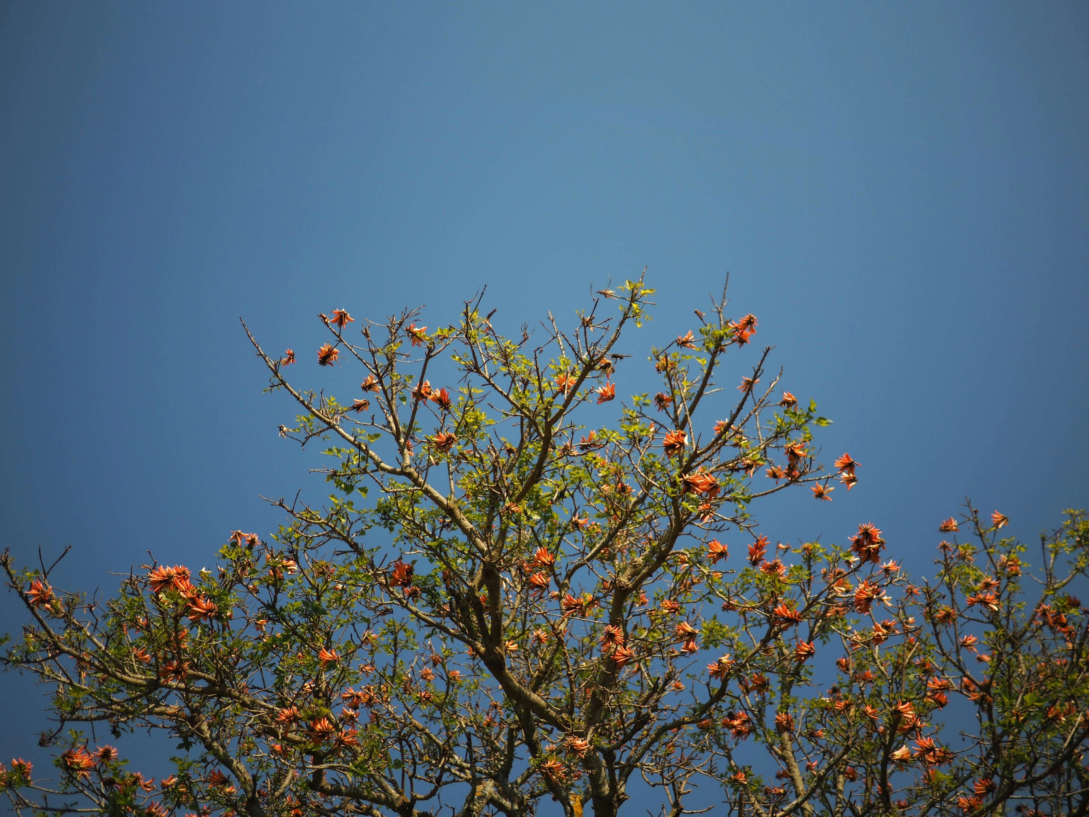 Photo by trev_morris