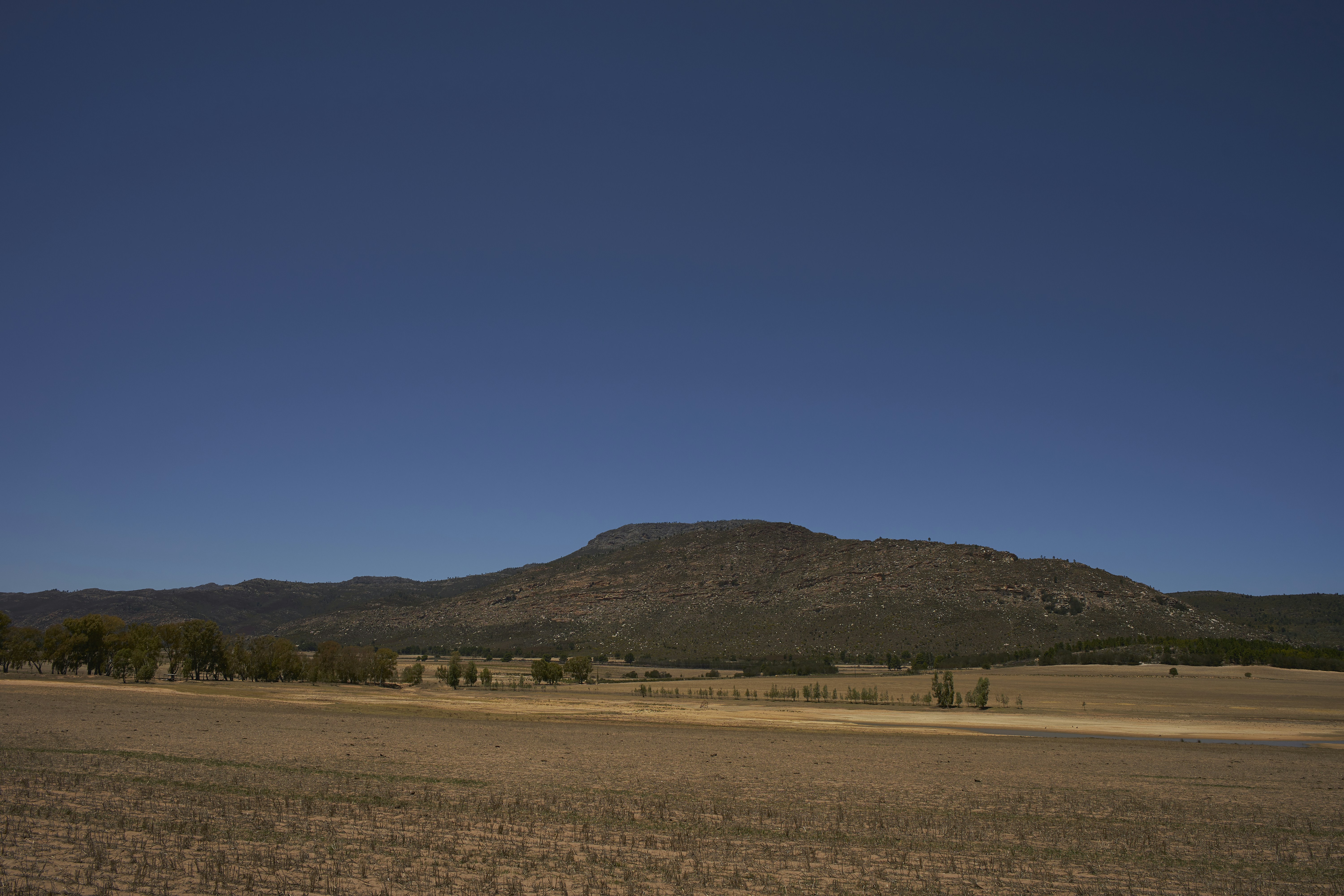 Photo by wolfgang_hasselmann