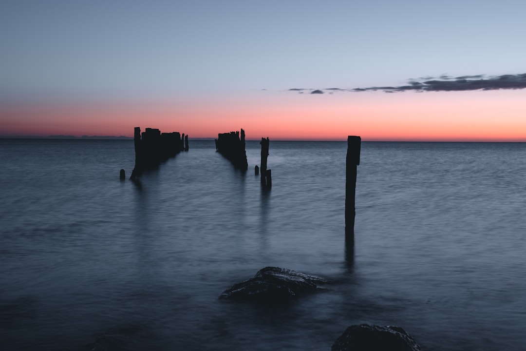 silhouette of people on sea during sunset