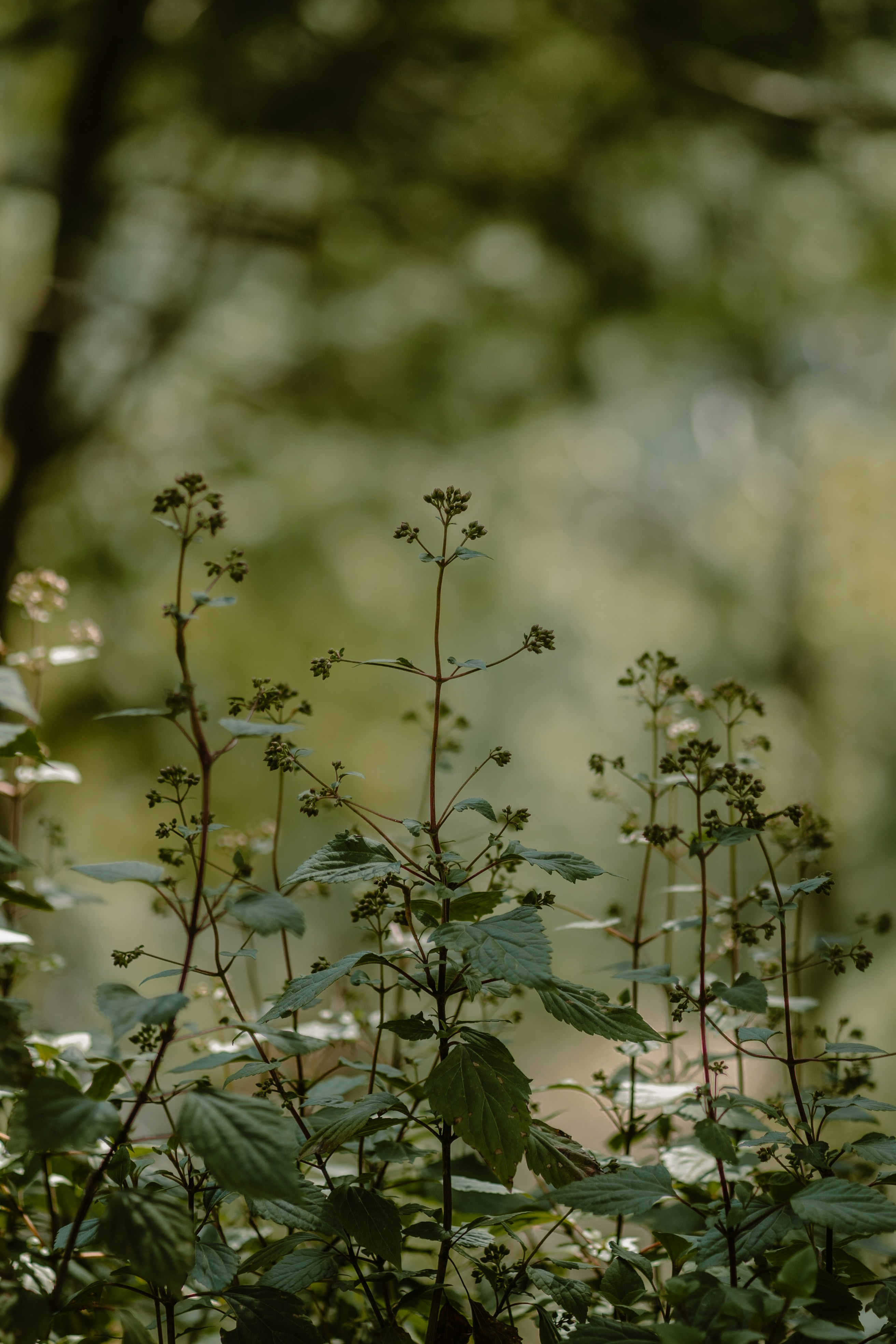 Photo by travelwithcm