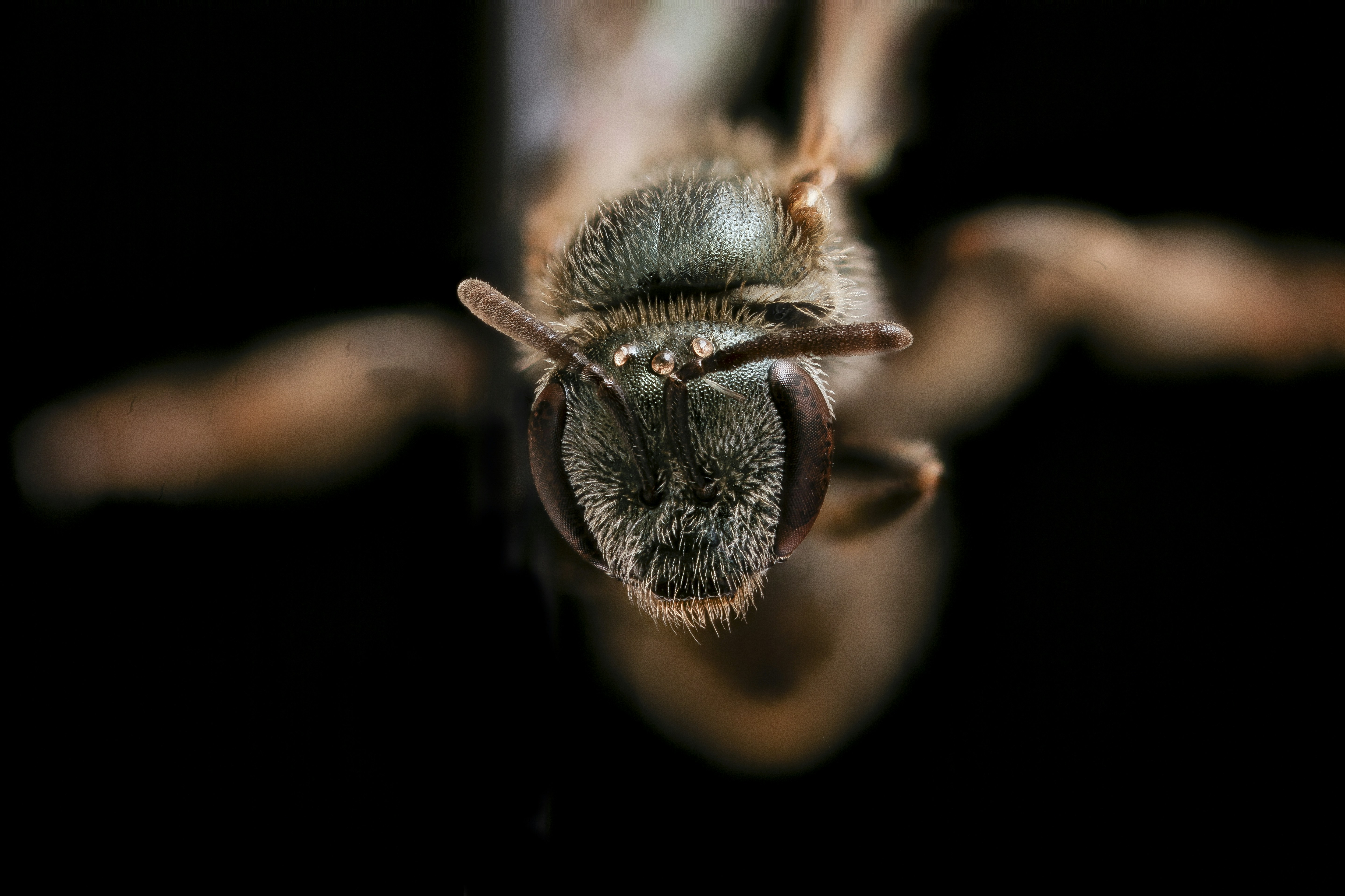 Photo by usgs