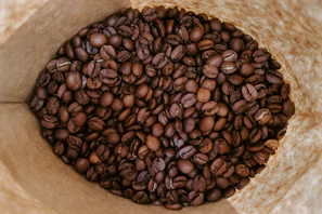Close-up of rich, dark roasted Toraja coffee beans in a burlap sack.