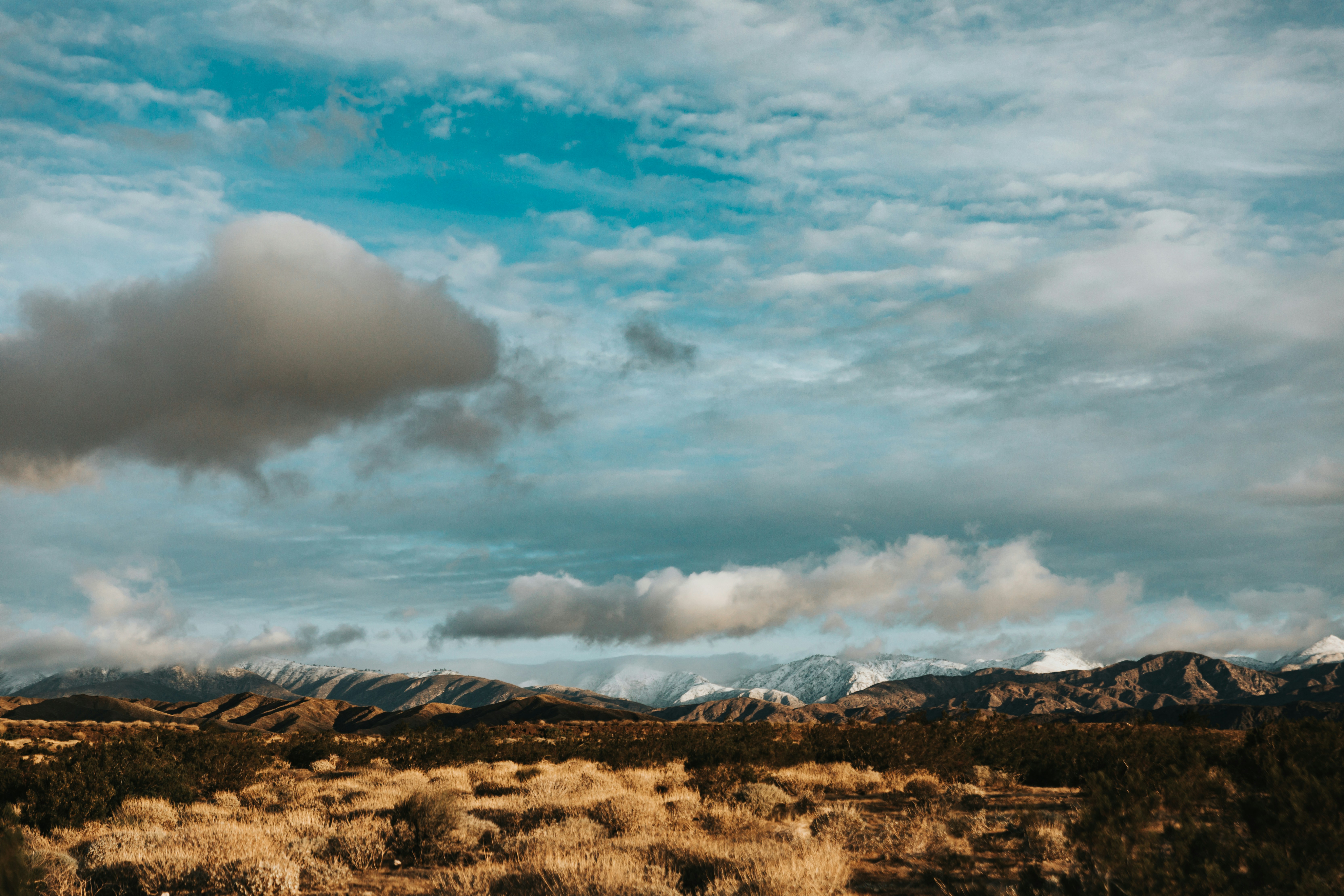 Photo by nate_dumlao