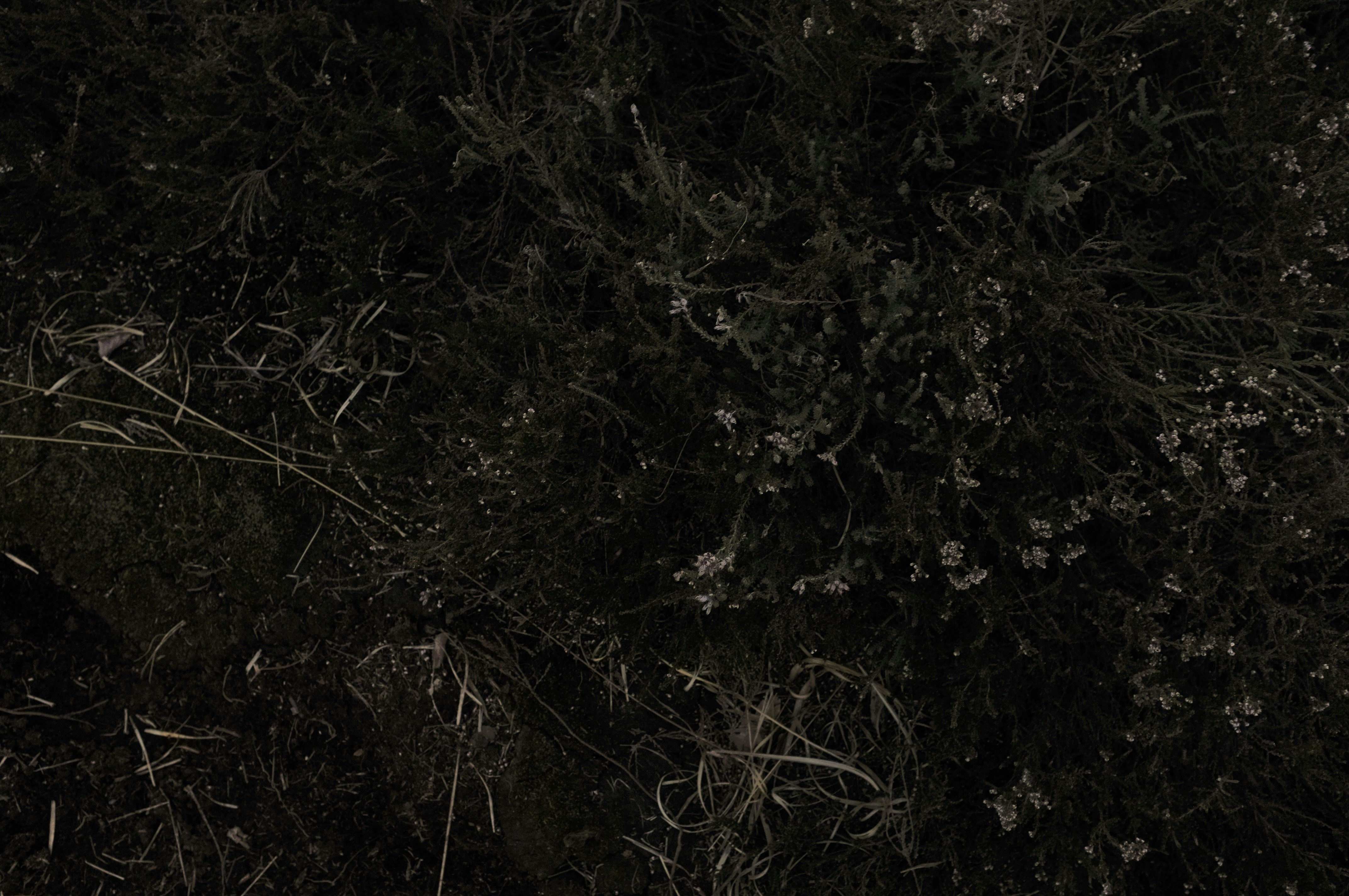 photo-1584710503160-3c6ca39dff08?ixid=M3wxMjA3fDB8MXxzZWFyY2h8MTl8fGJ1cnNhJTIwdHJhdmVzdGl8ZW58MHx8fHwxNzQ2MjI1MTE4fDA\u0026ixlib=rb-4.0.3