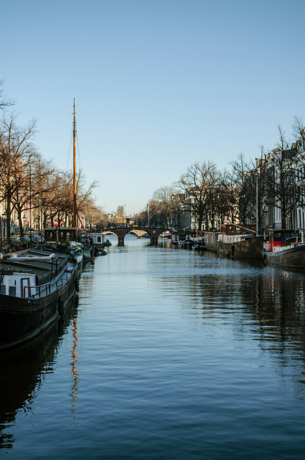 boat on river near trees during daytime