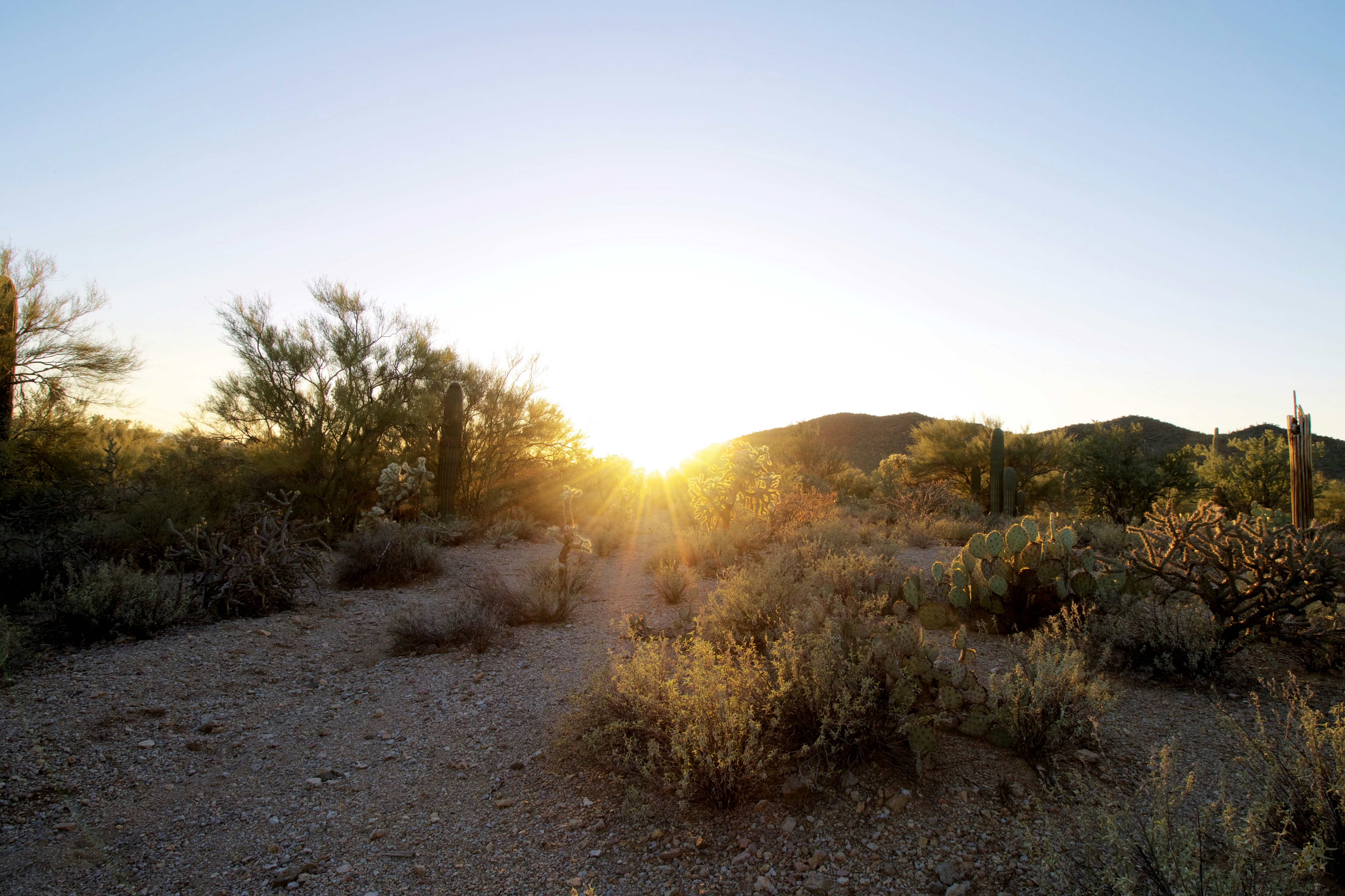 Photo by picsbyjameslee