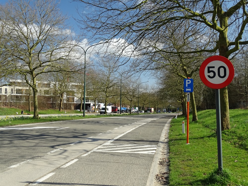 gray concrete road between bare trees during daytime