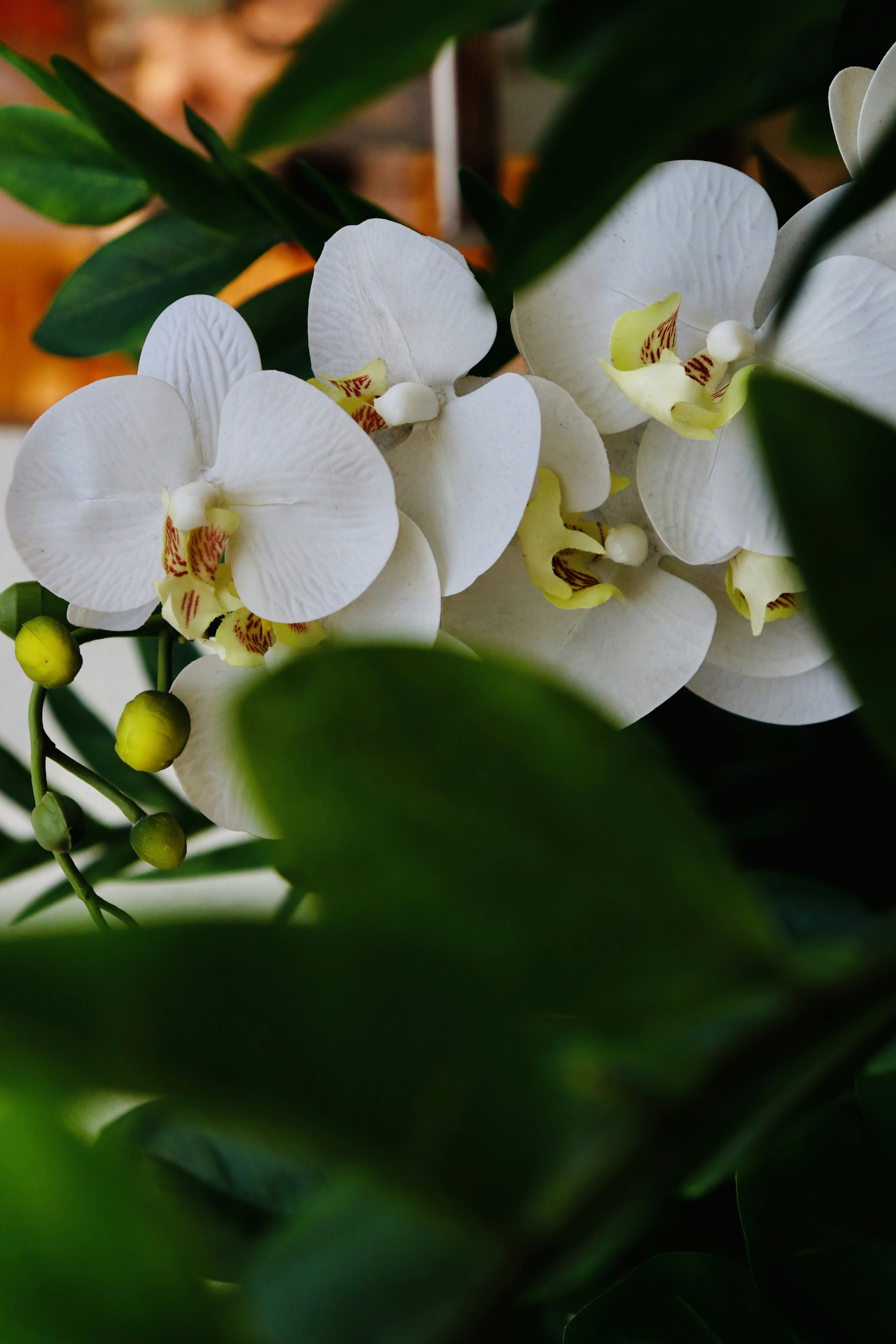 Photo by islam9929