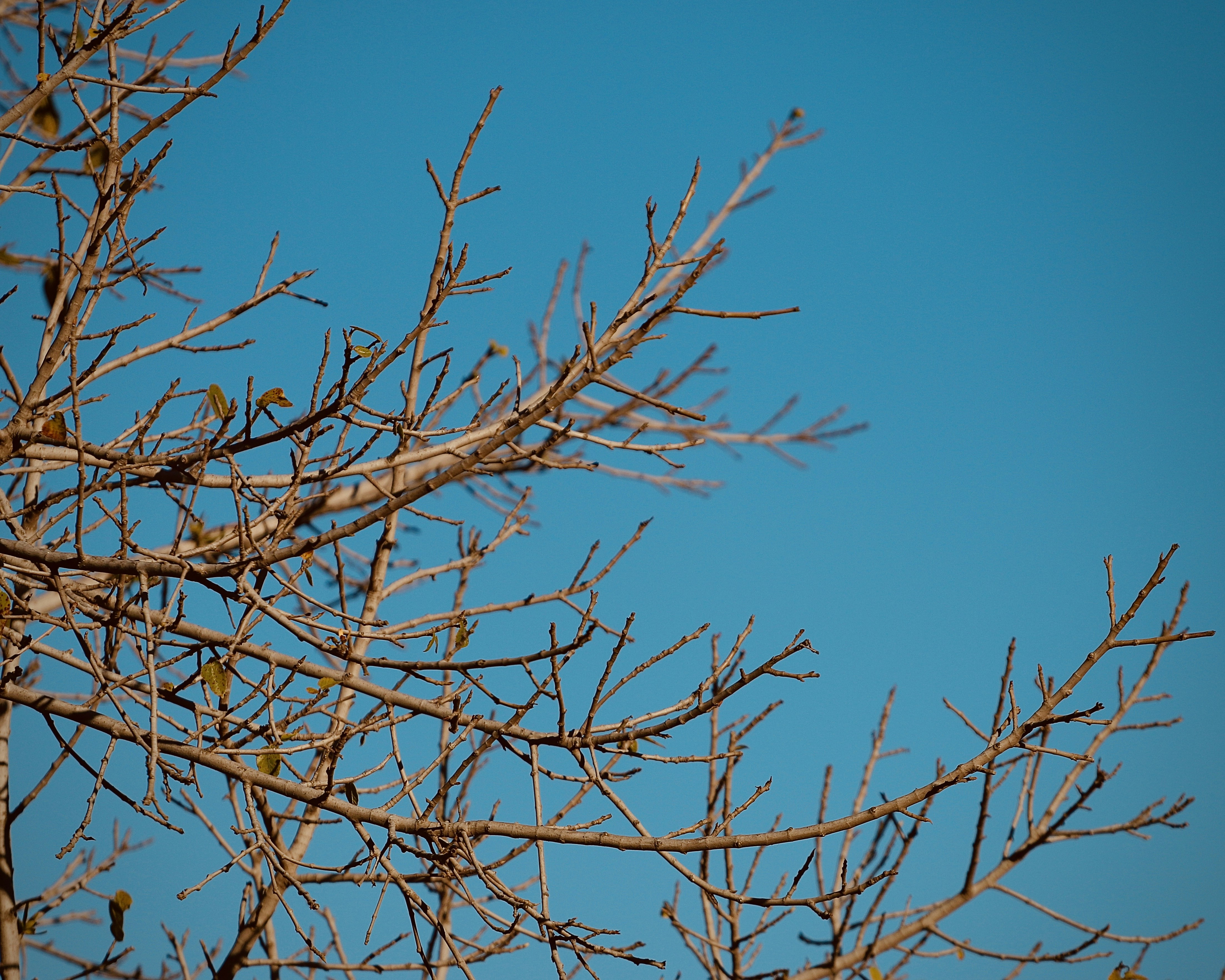 Photo by 7amad7arisi