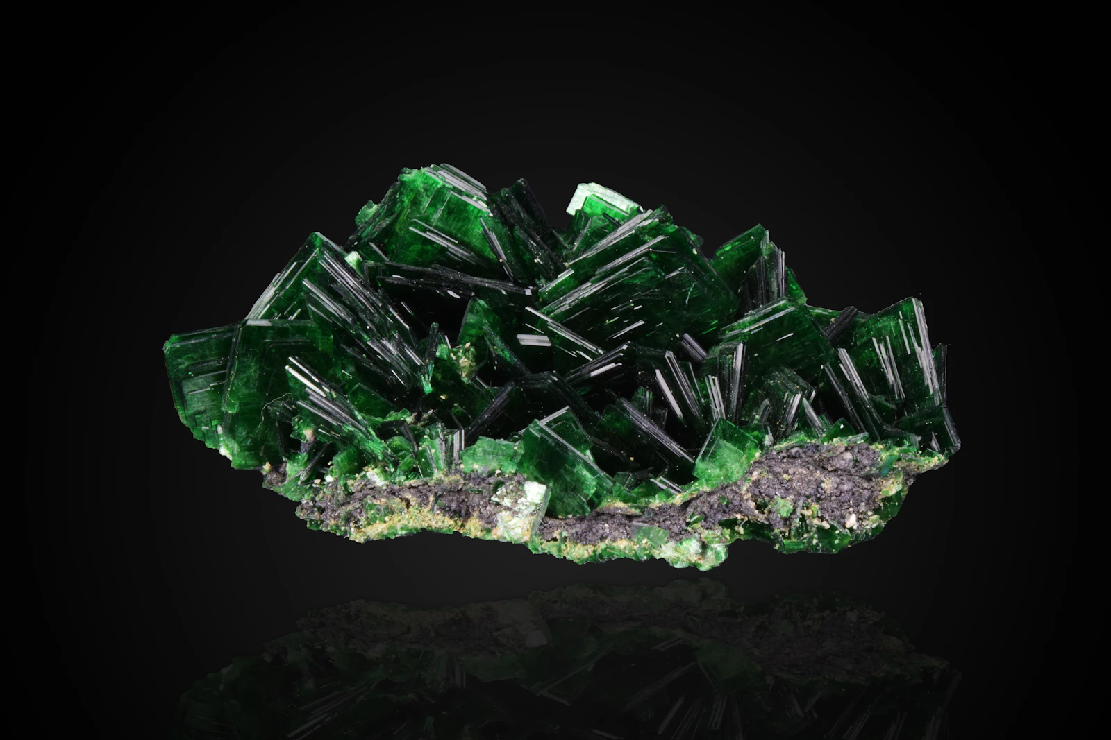 Untreated emerald, round cut