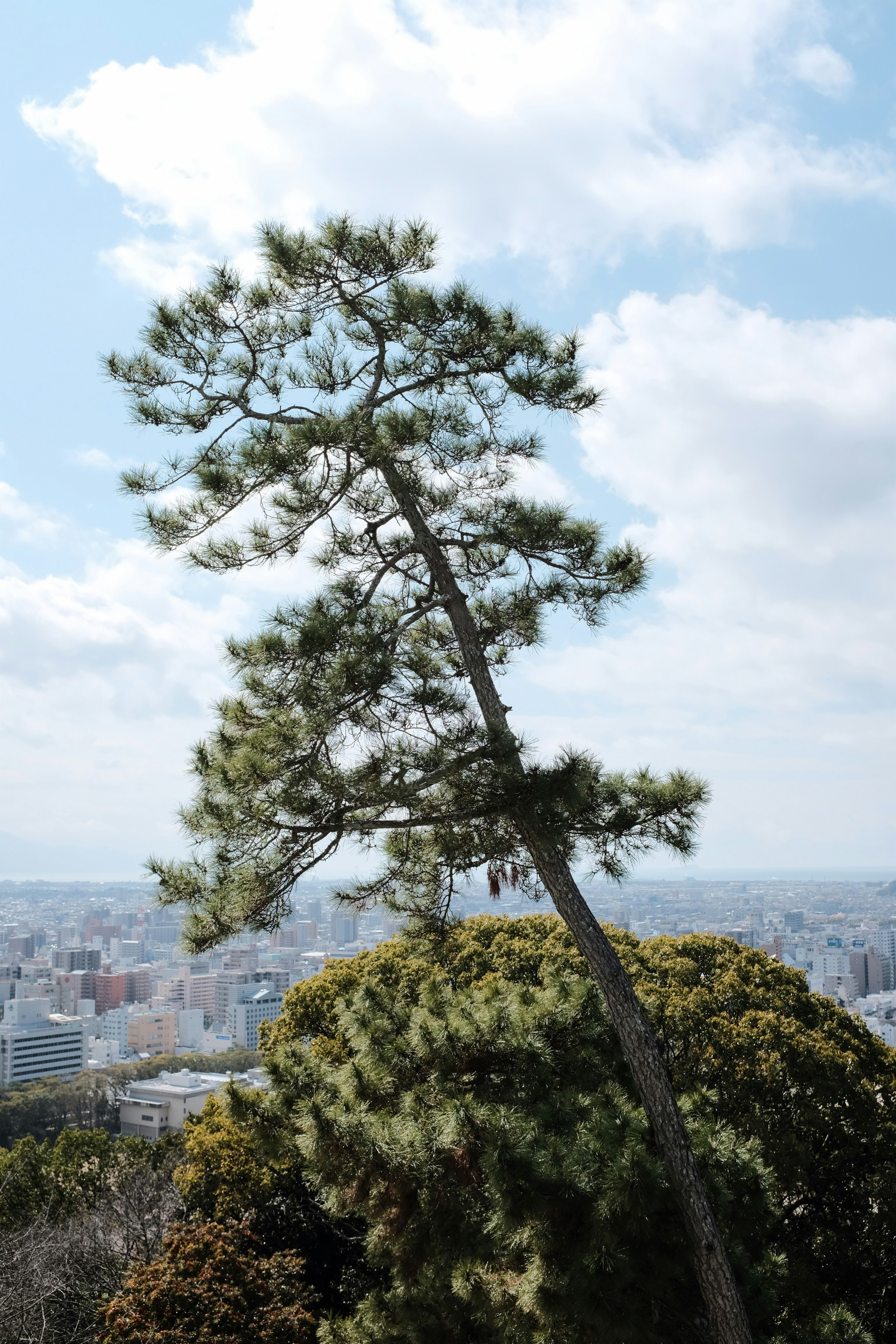 川崎 フロンターレ ユニフォーム 