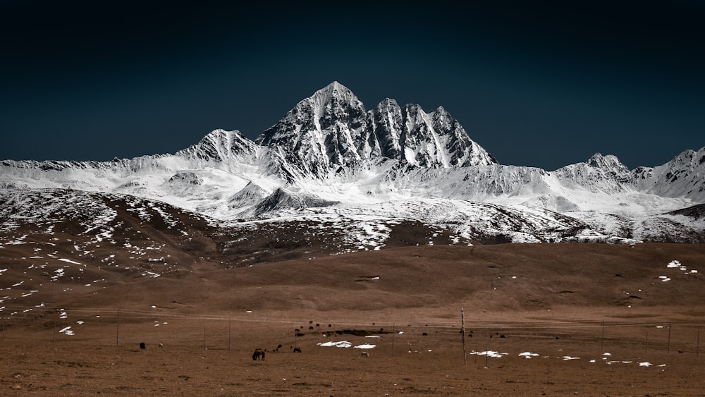 snow covered mountain during daytime