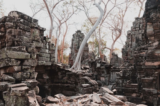 bare tree on rocky hill during daytime in Banteay Chhmar Cambodia