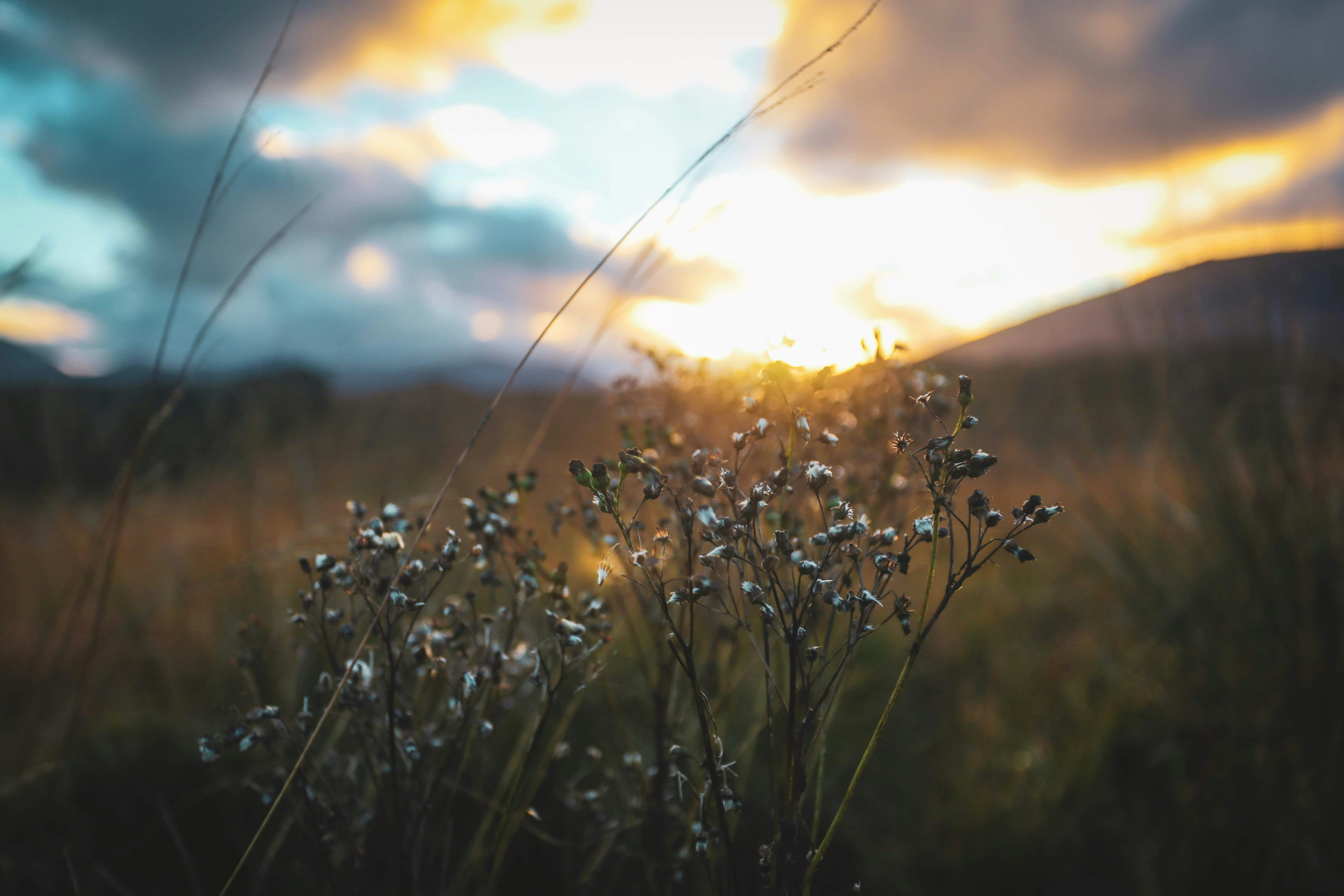 Photo by dyanawingso