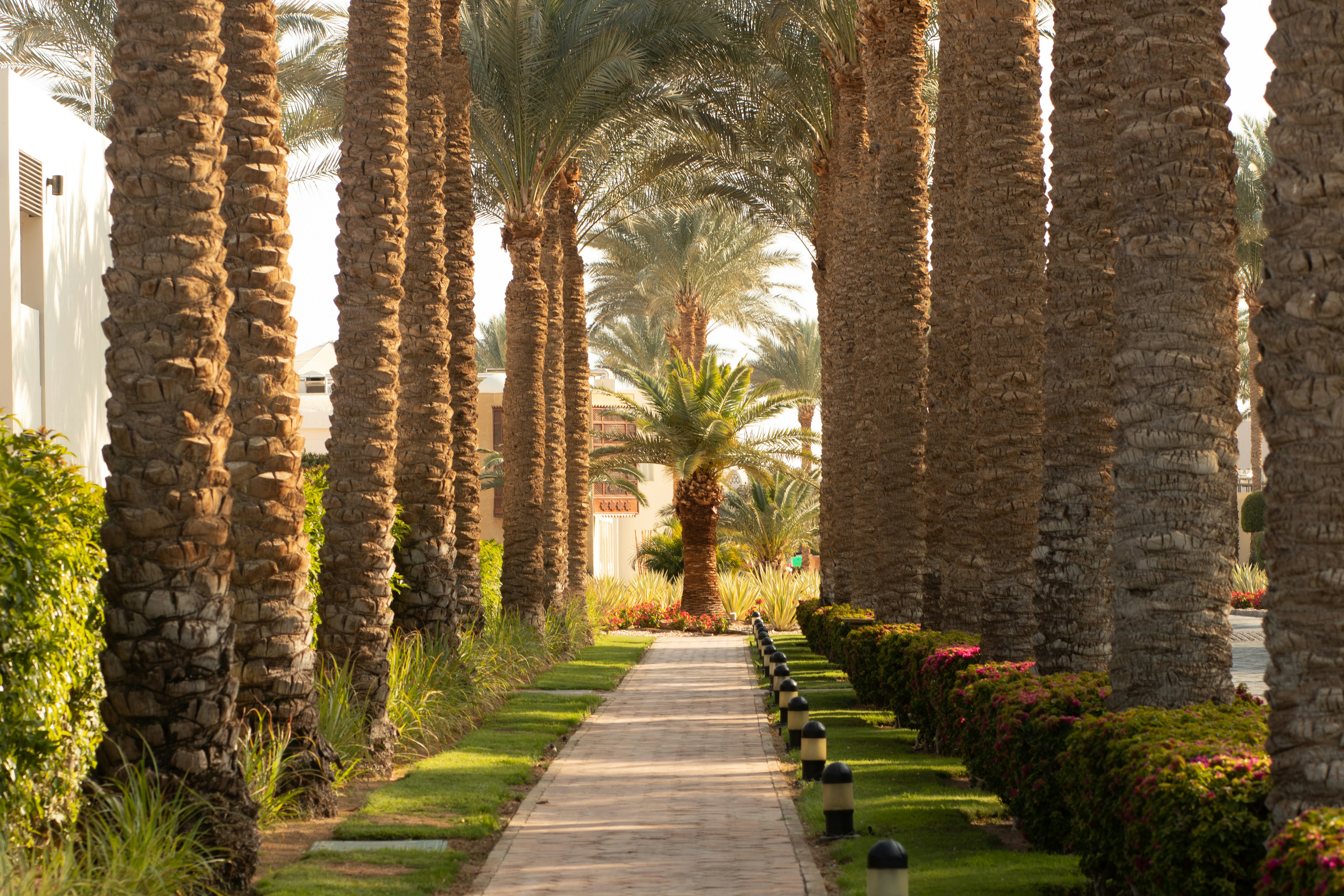 Photo by svetlana_boyko