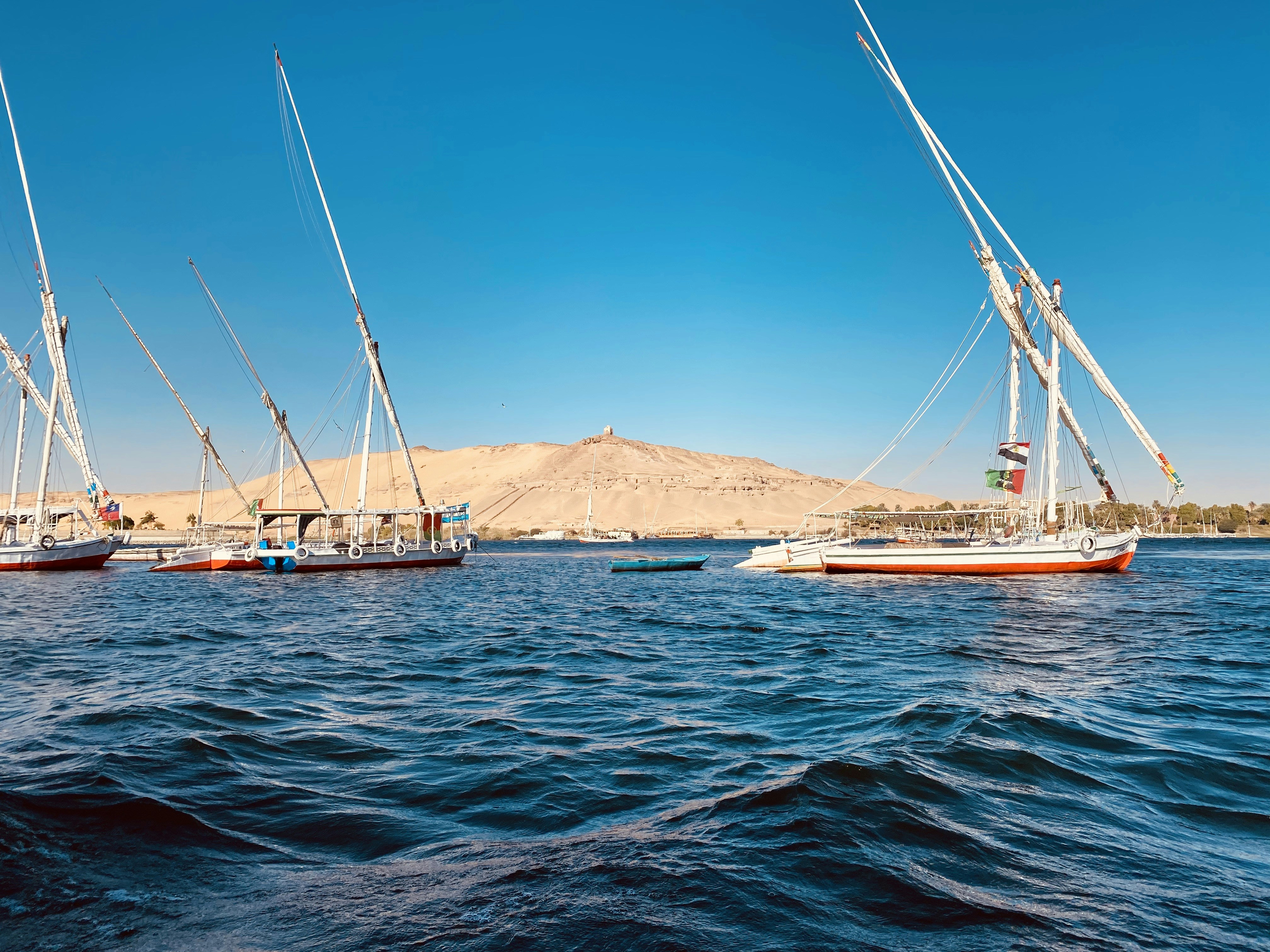 white and red boat on sea during daytime, نهر النيل
