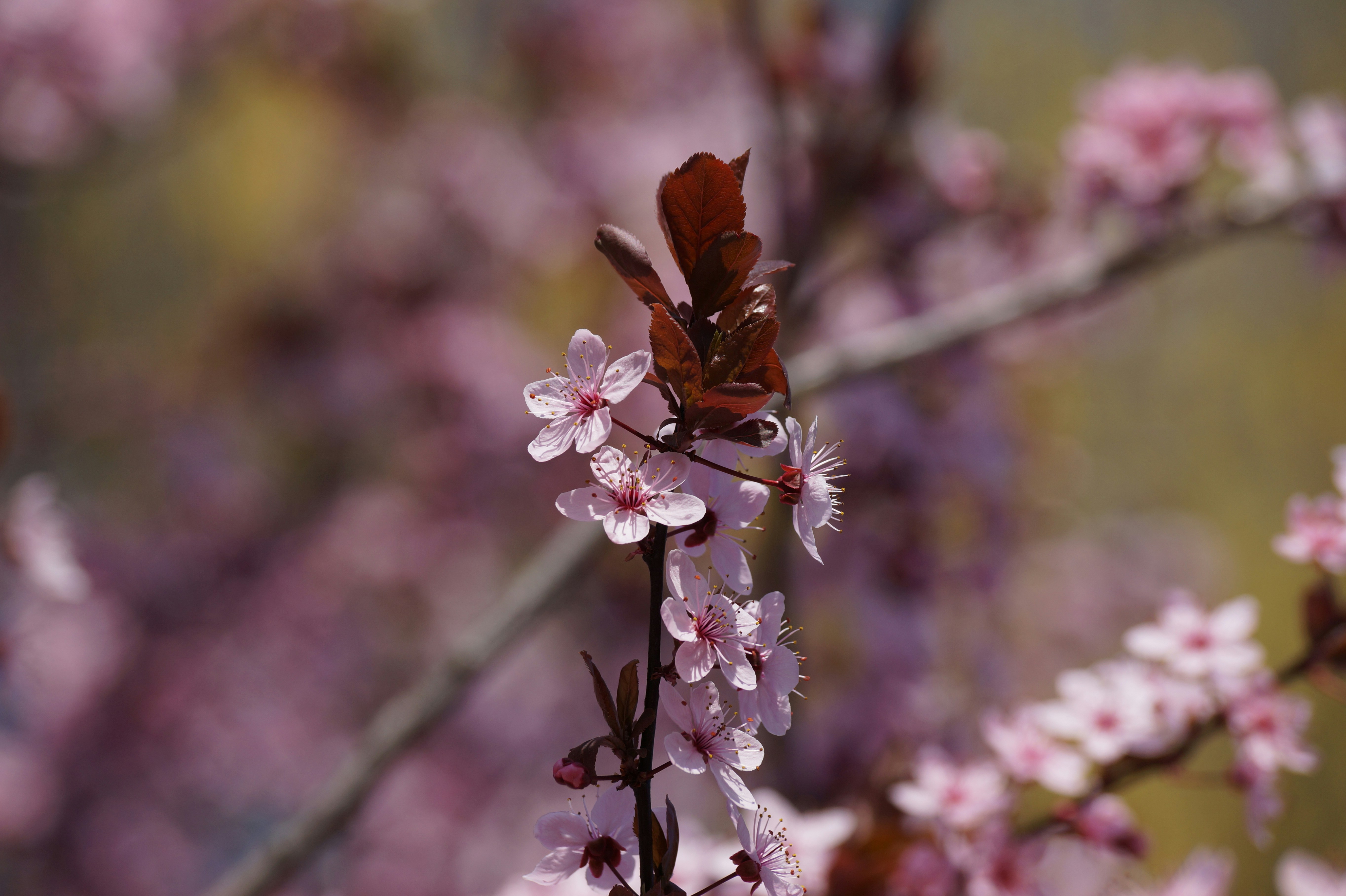 Photo by andras_adam