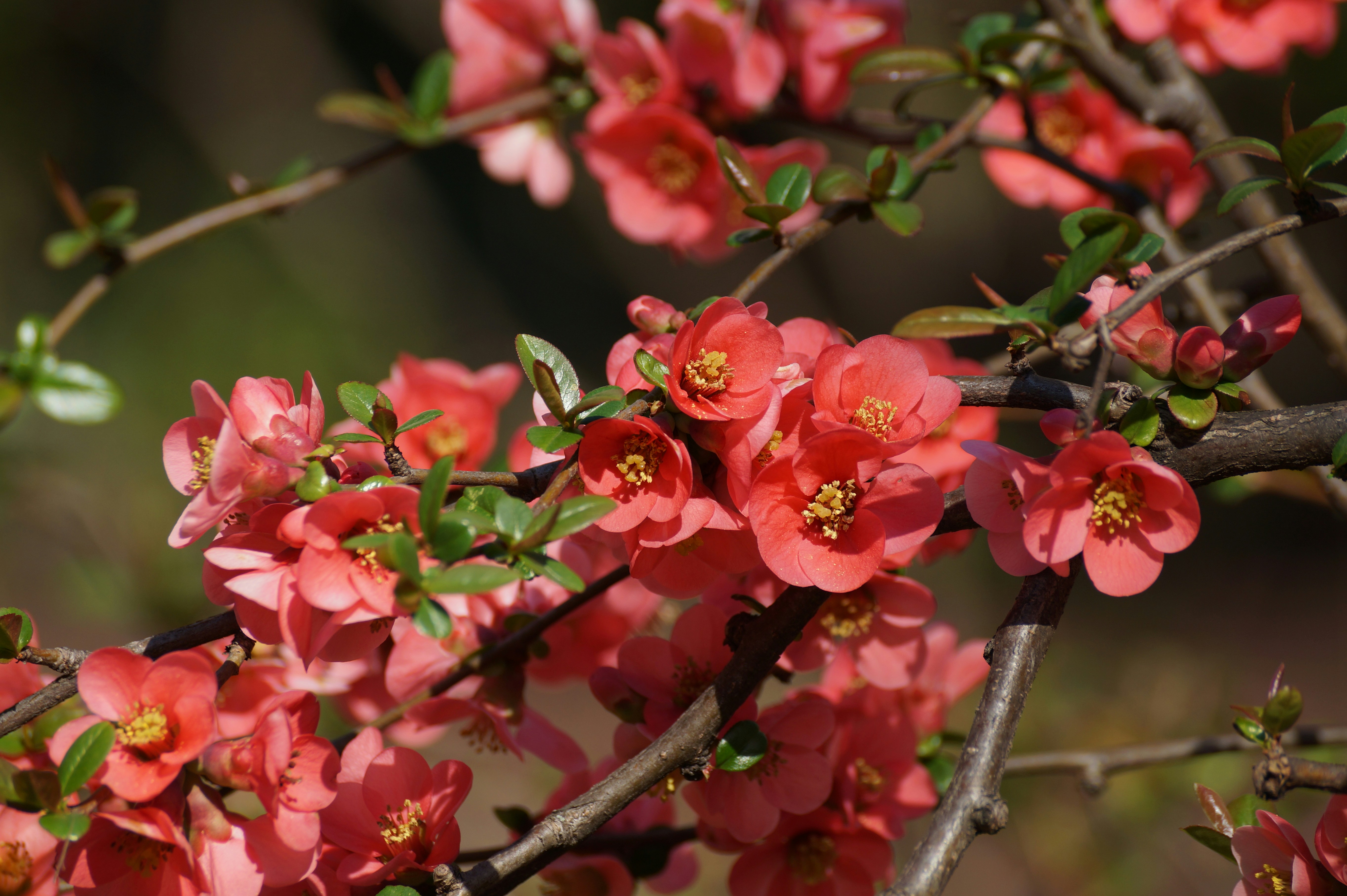 Photo by andras_adam