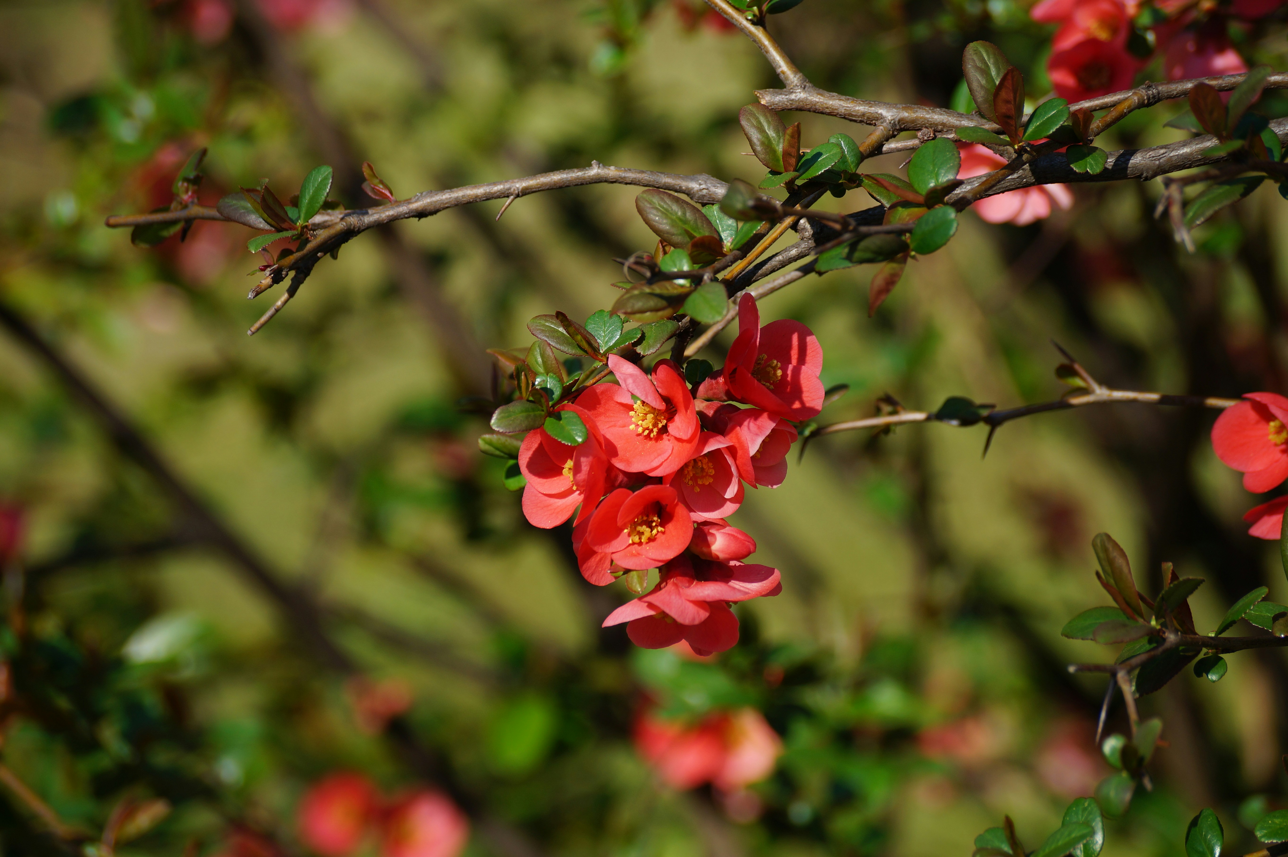 Photo by andras_adam