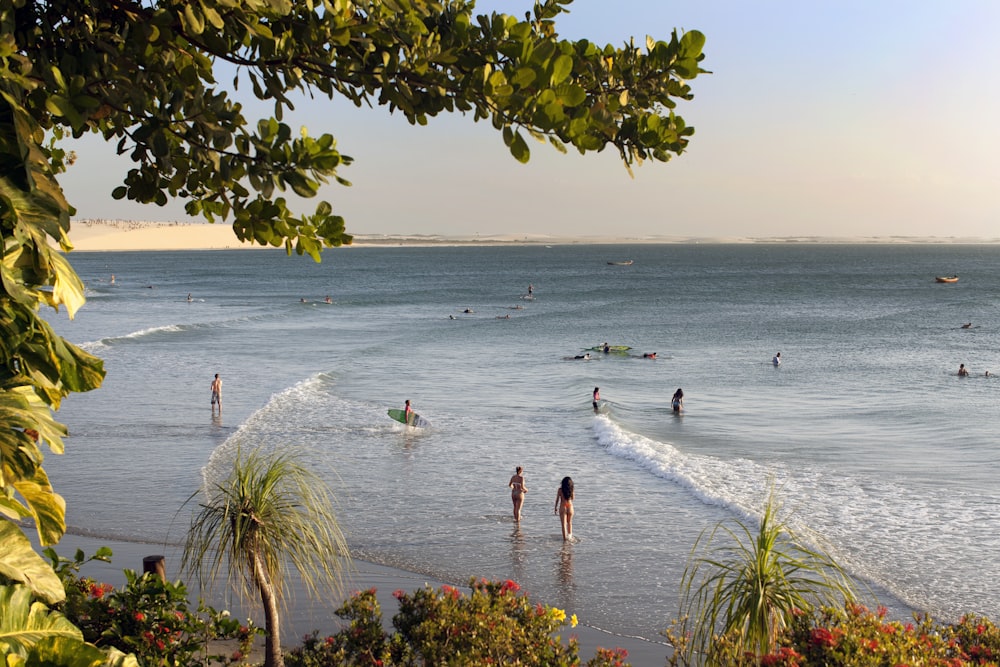 people on beach during daytime