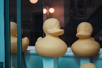 Two large yellow rubber duck sculptures are prominently displayed on white pedestals in a dimly-lit interior setting. The ducks have rounded features and are reflected in a glass surface nearby, with framed pictures and warm lighting in the background.