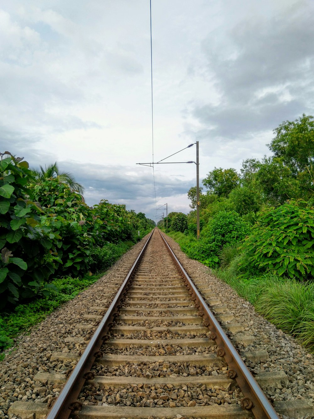 brown metal train rail between green plants during daytime