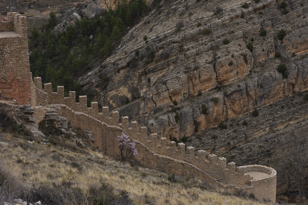 a sheep standing on a hill next to a stone wall