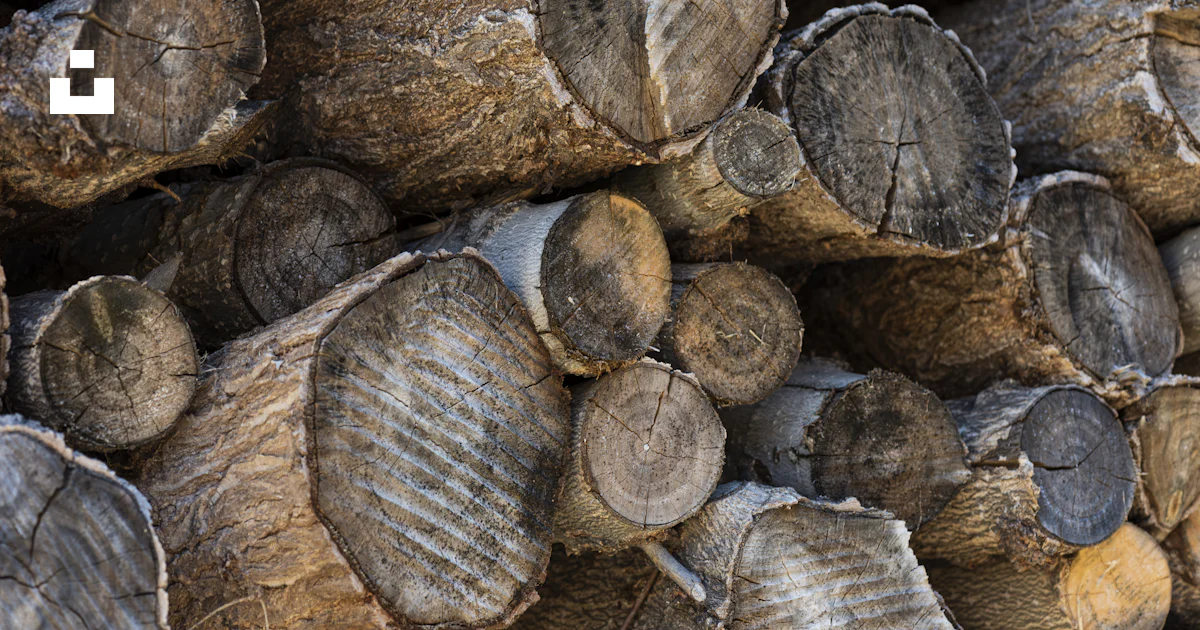 Brown and gray wood logs photo – Free Wood Image on Unsplash