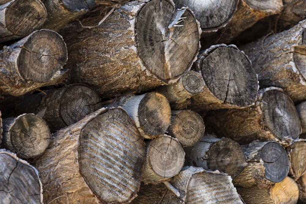 brown and gray wood logs