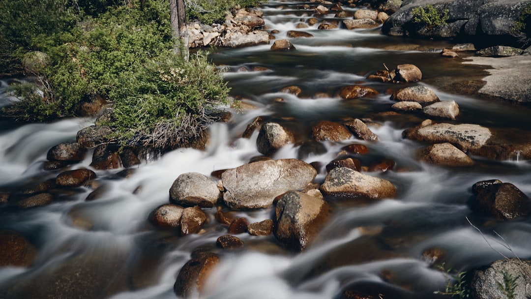 brown and gray rocks on river