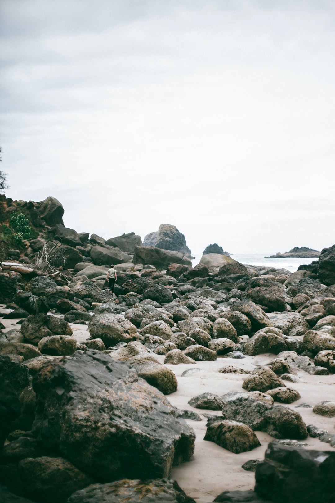 gray rocky shore during daytime