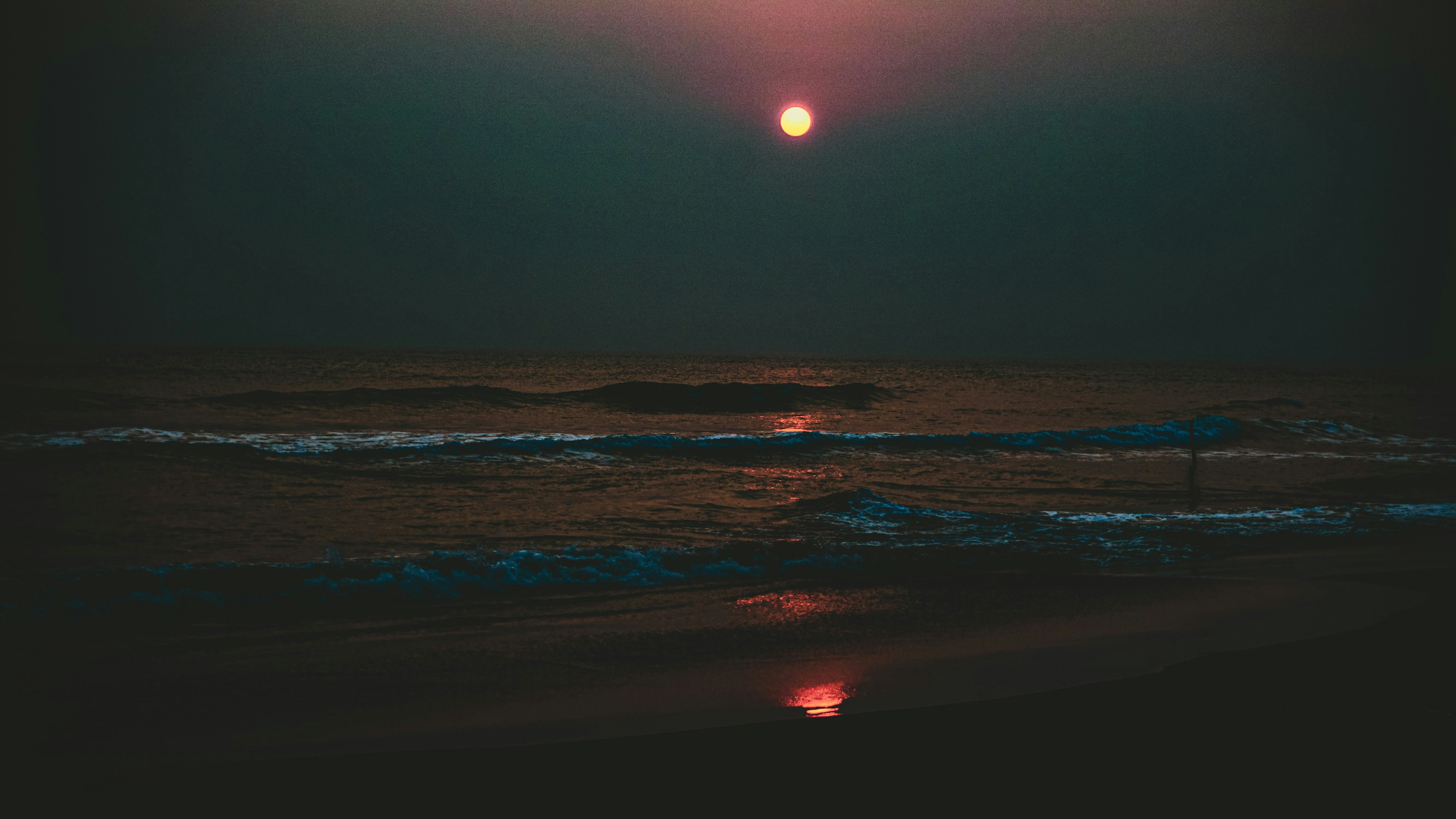 Photo by rudraclicks