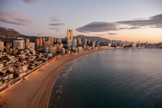 city skyline near body of water during daytime