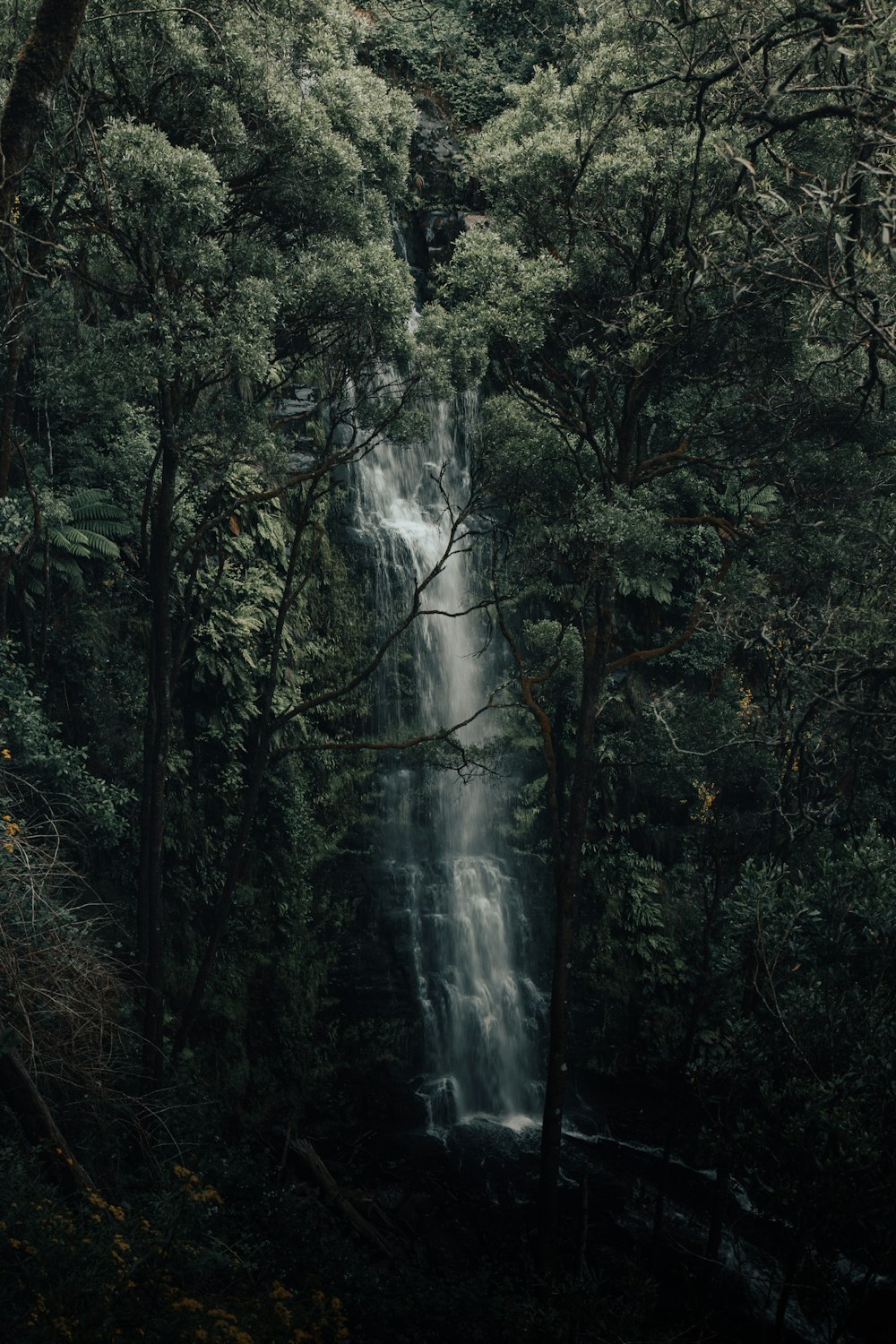 green trees and waterfalls during daytime