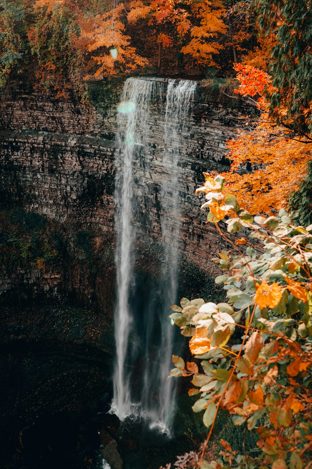 water falls in the middle of the forest