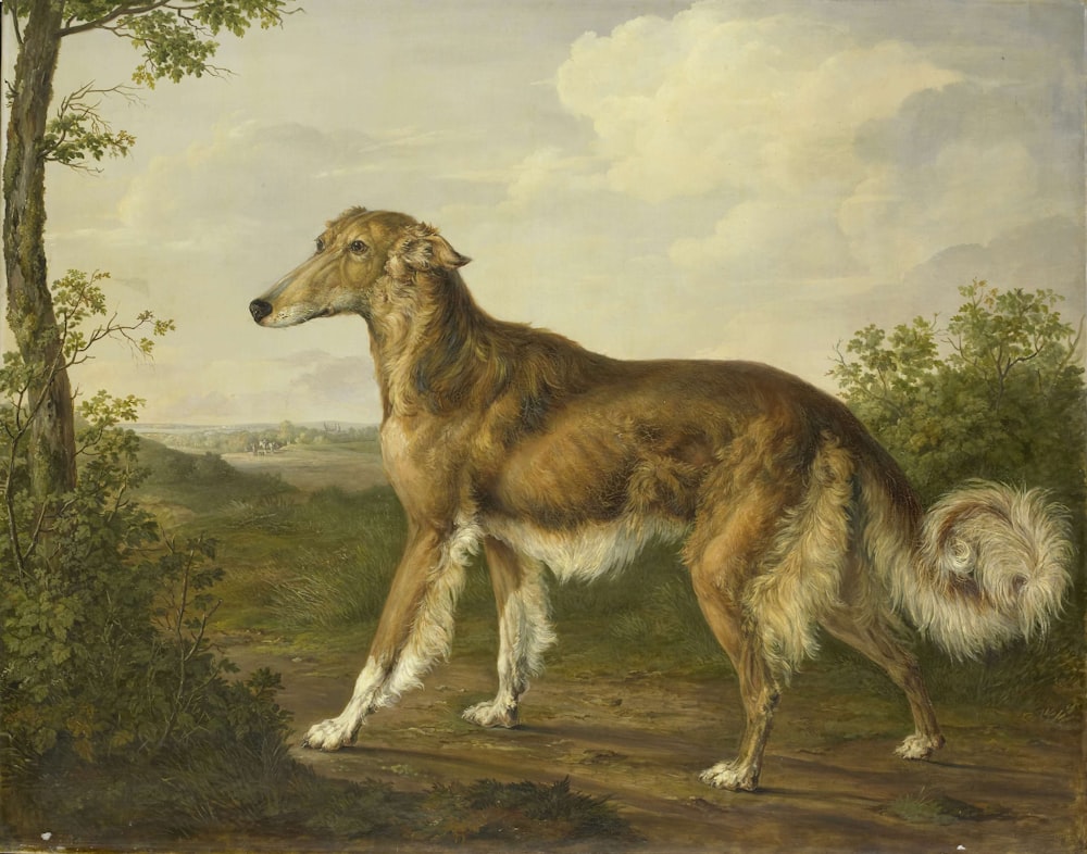 Perro marrón y blanco de pelo largo sobre arena marrón