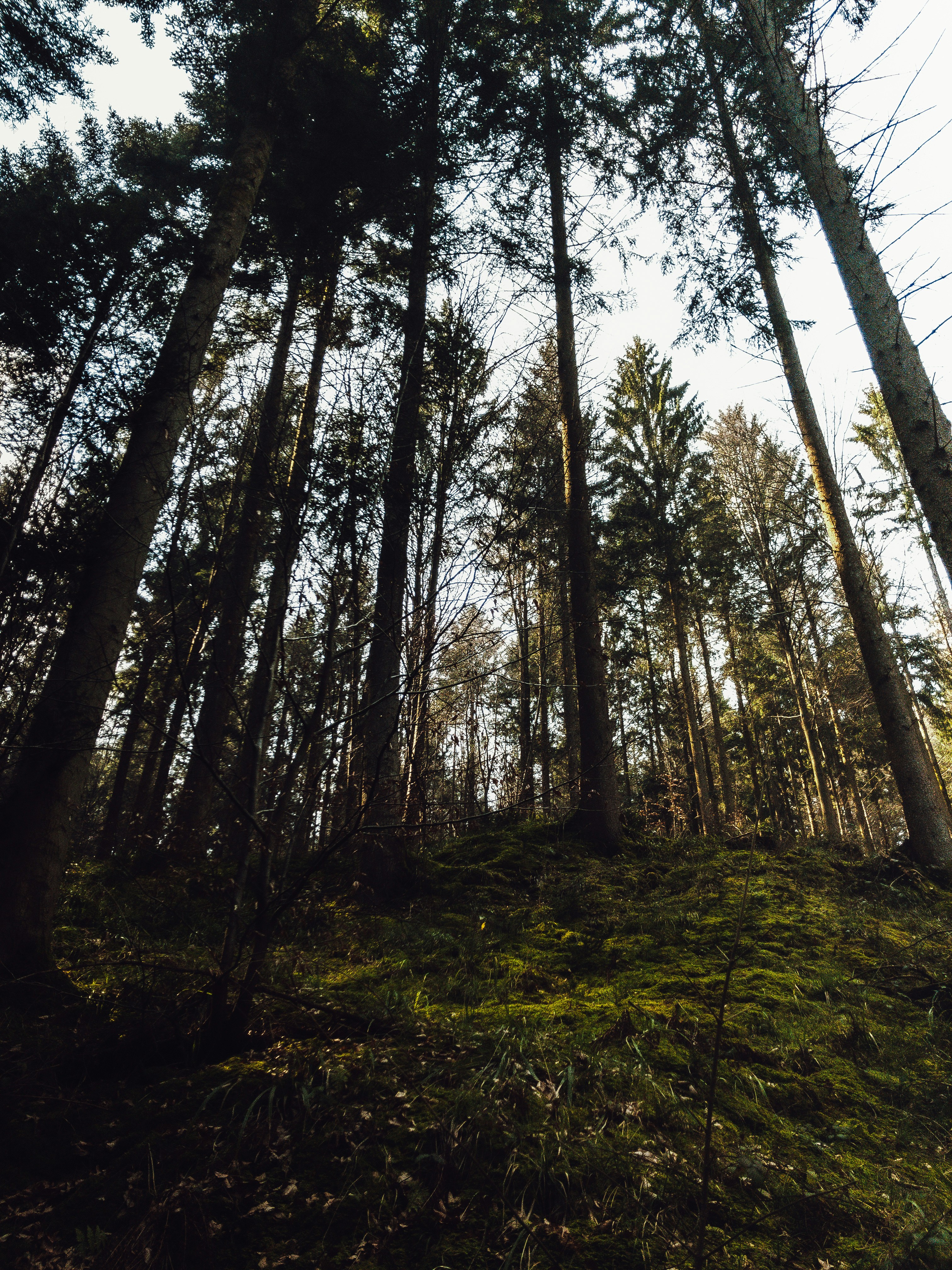 Photo by benjaminmerkle