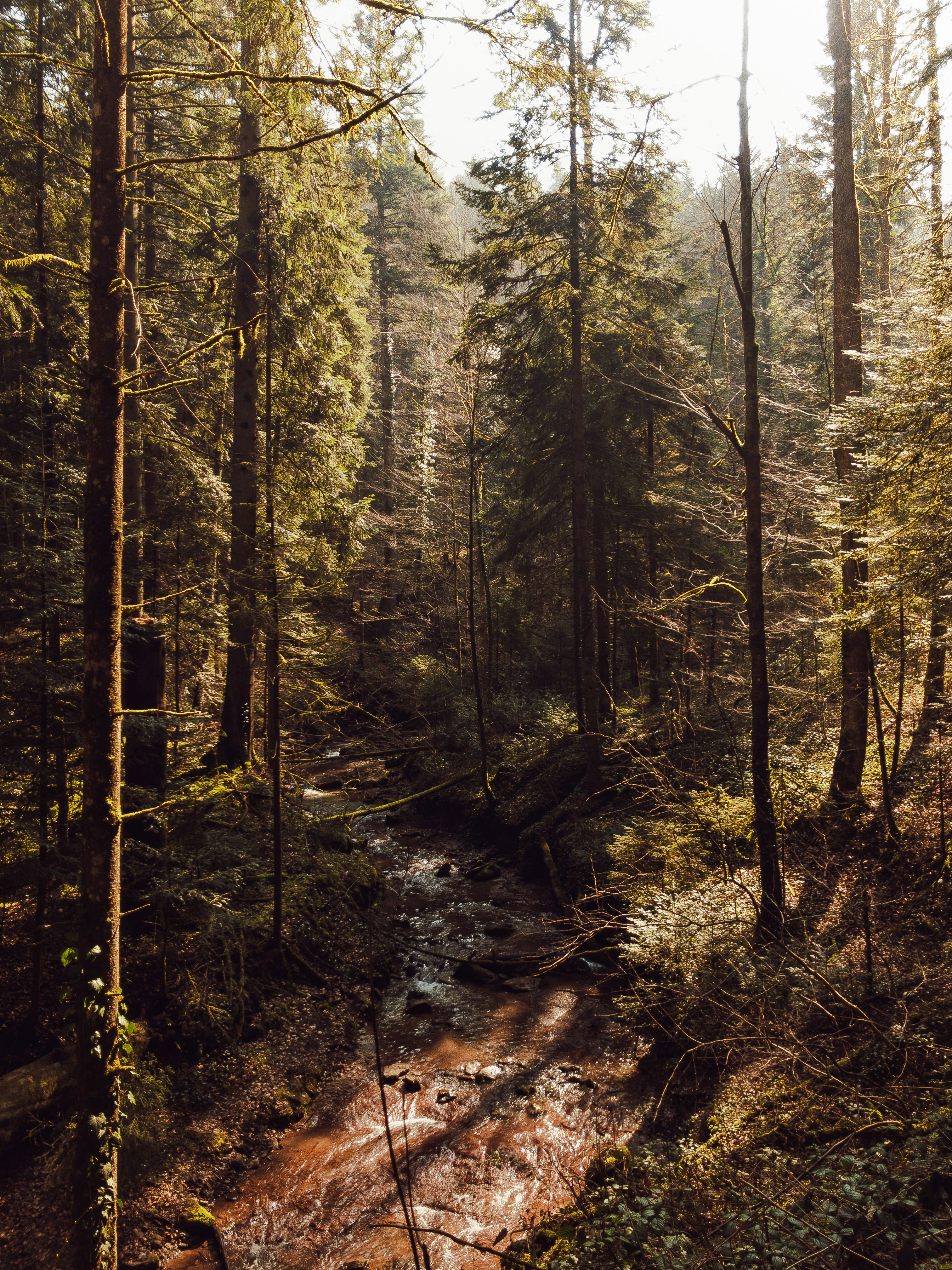 Photo by benjaminmerkle