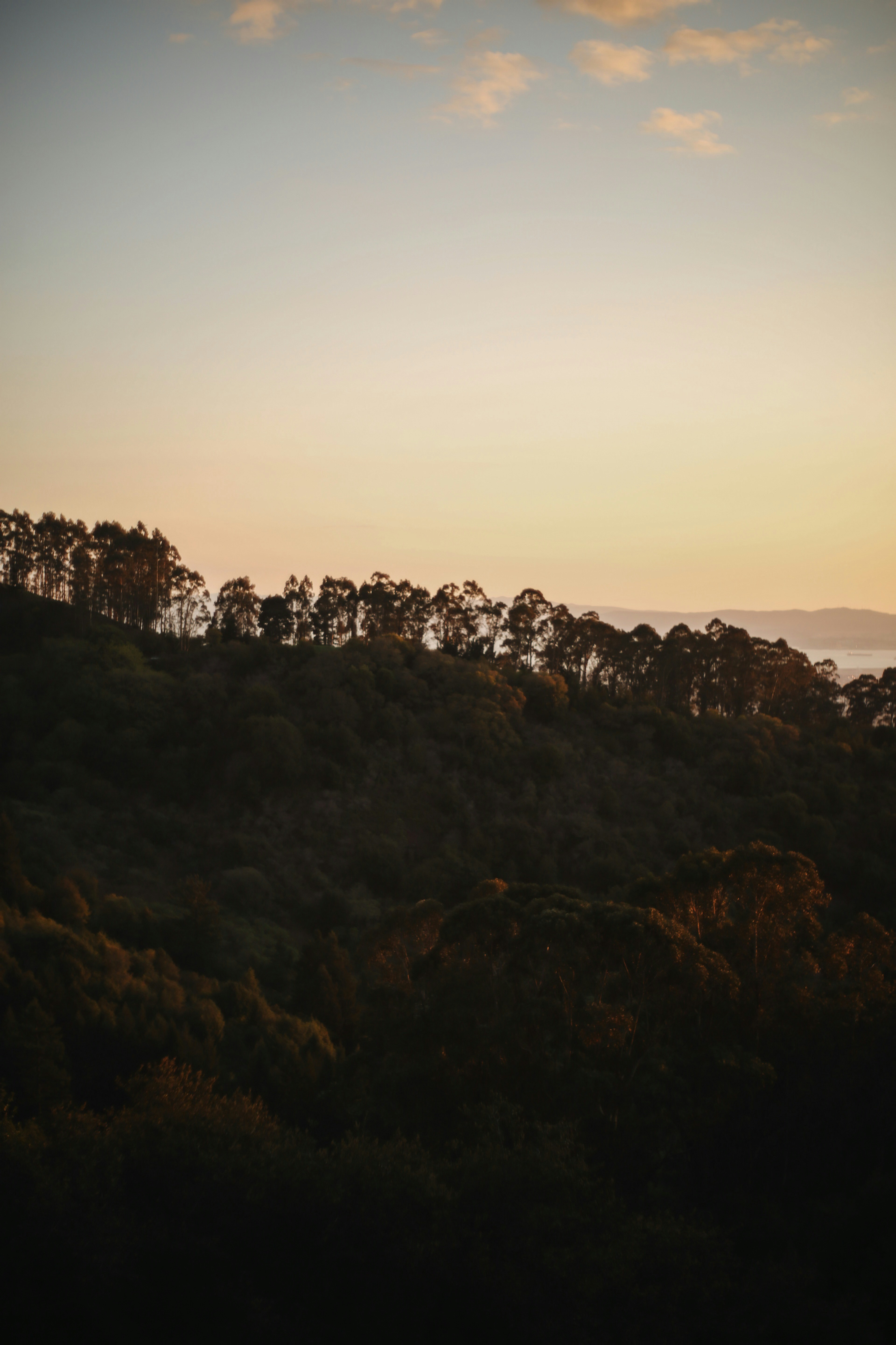 Photo by giorgiotrovato