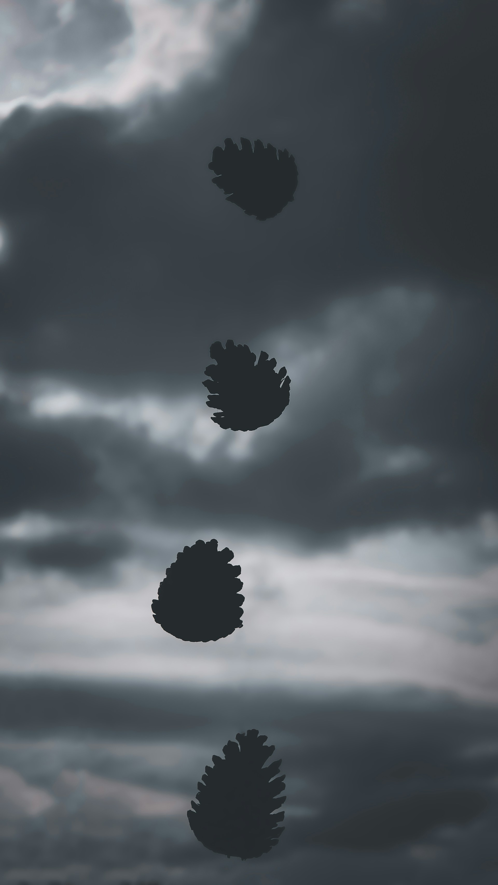 silhouette of tree under cloudy sky during daytime