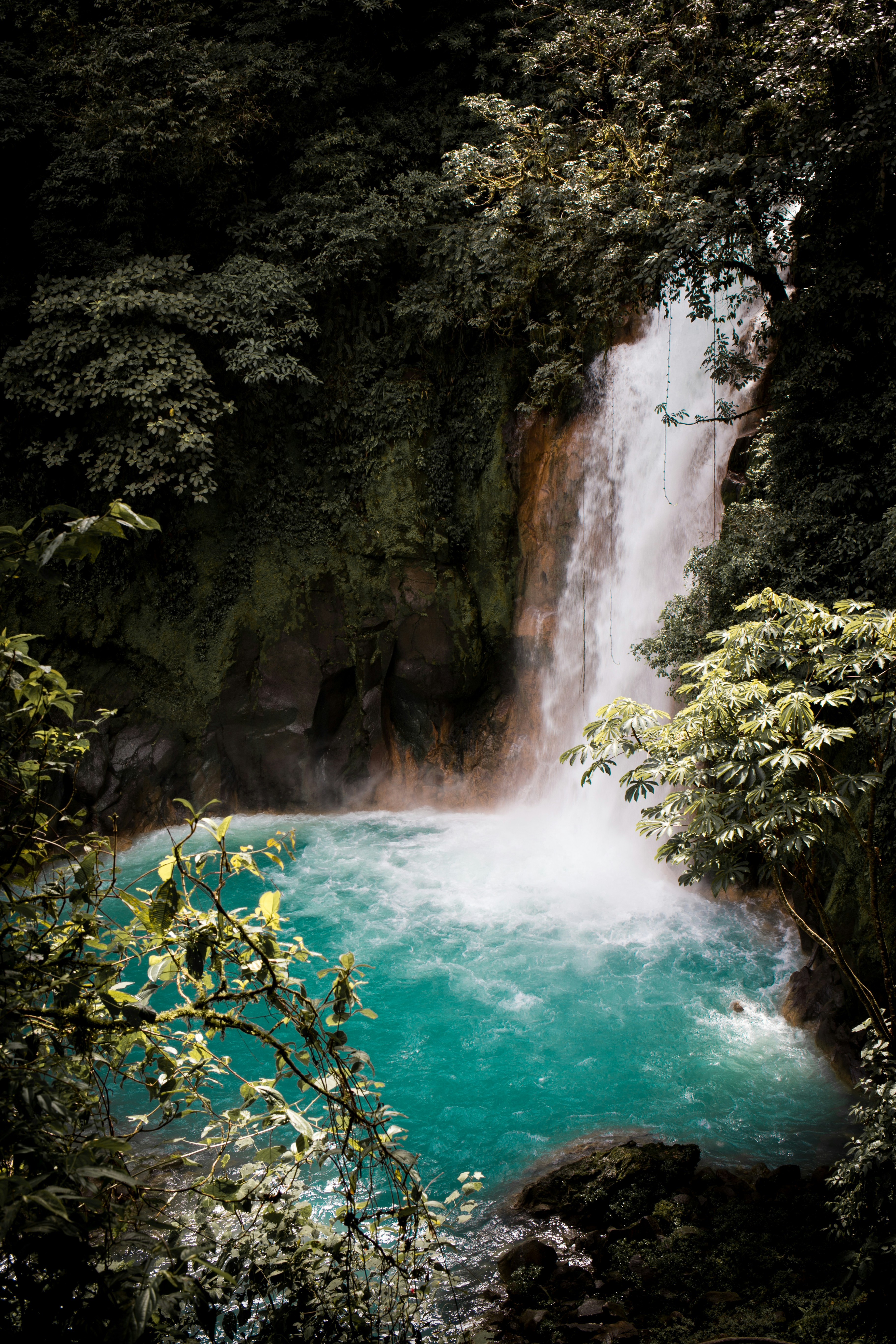 Photo by williamdaigneault