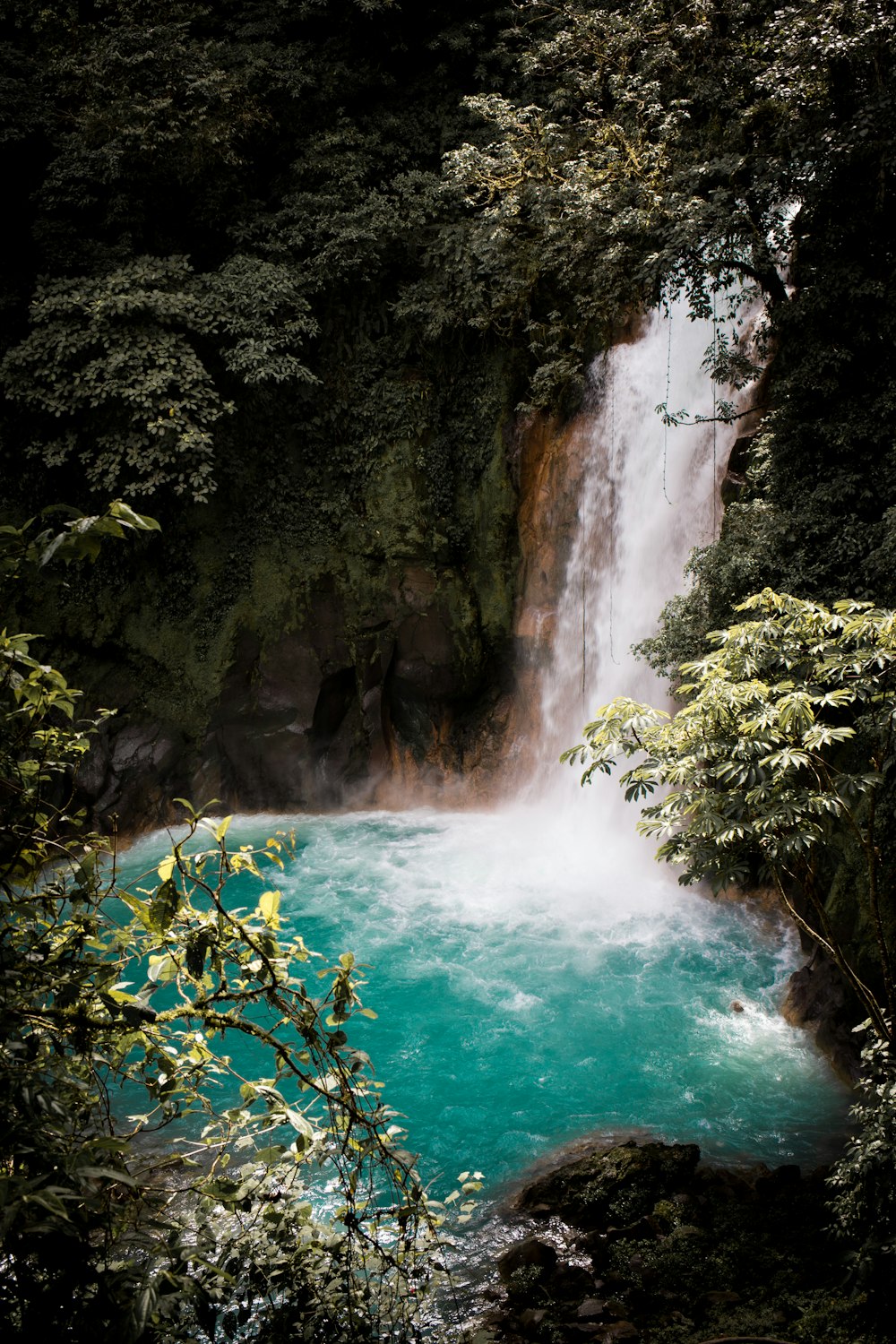 waterfalls in the middle of the forest