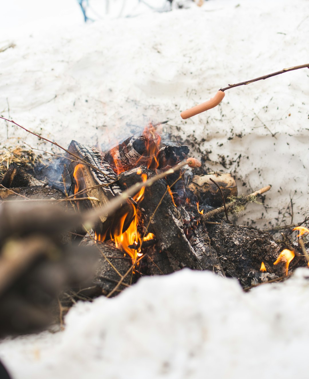 brown and black fire woods on white snow