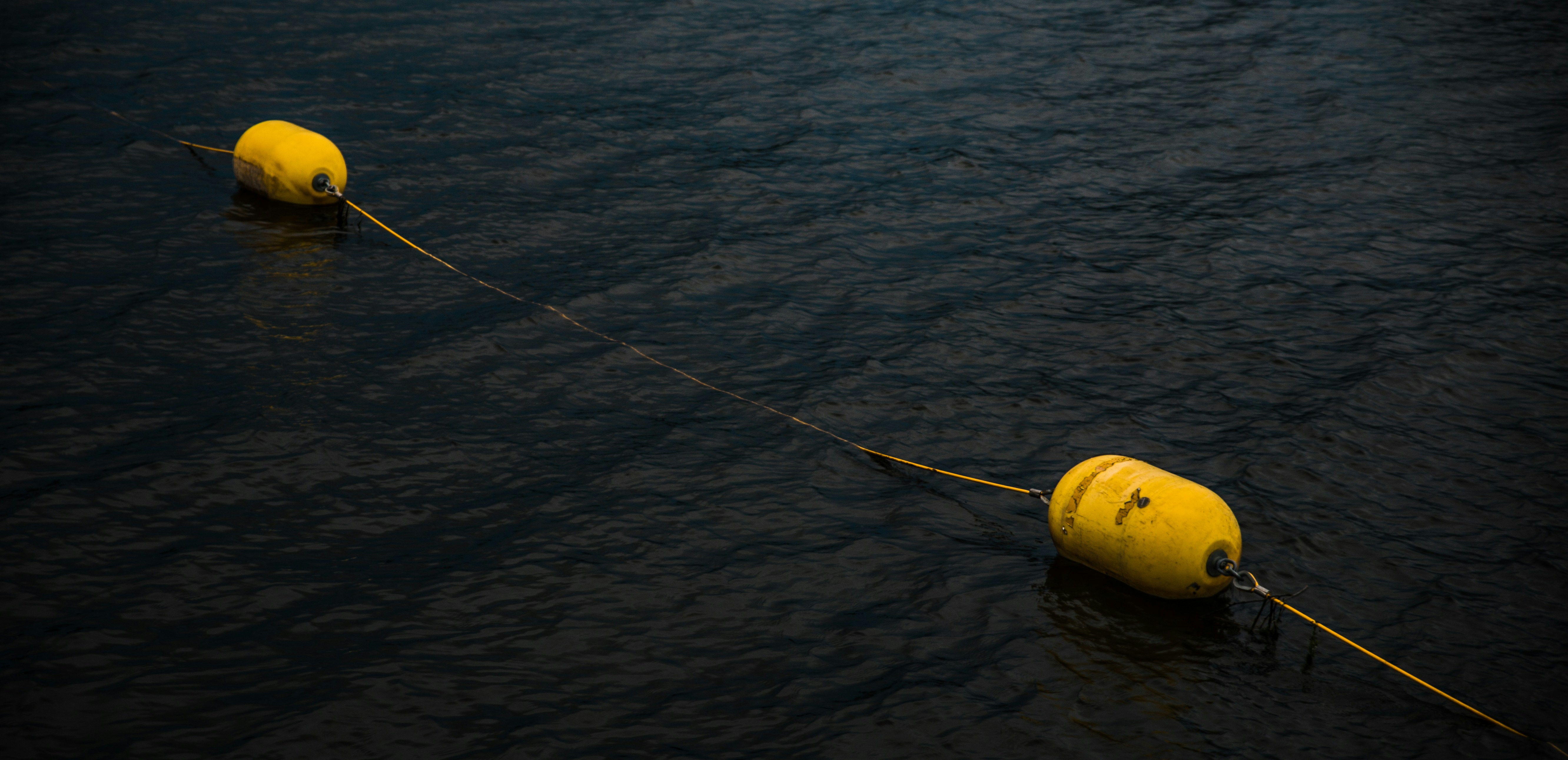 Yellow and black fishing rod on body of water during daytime photo