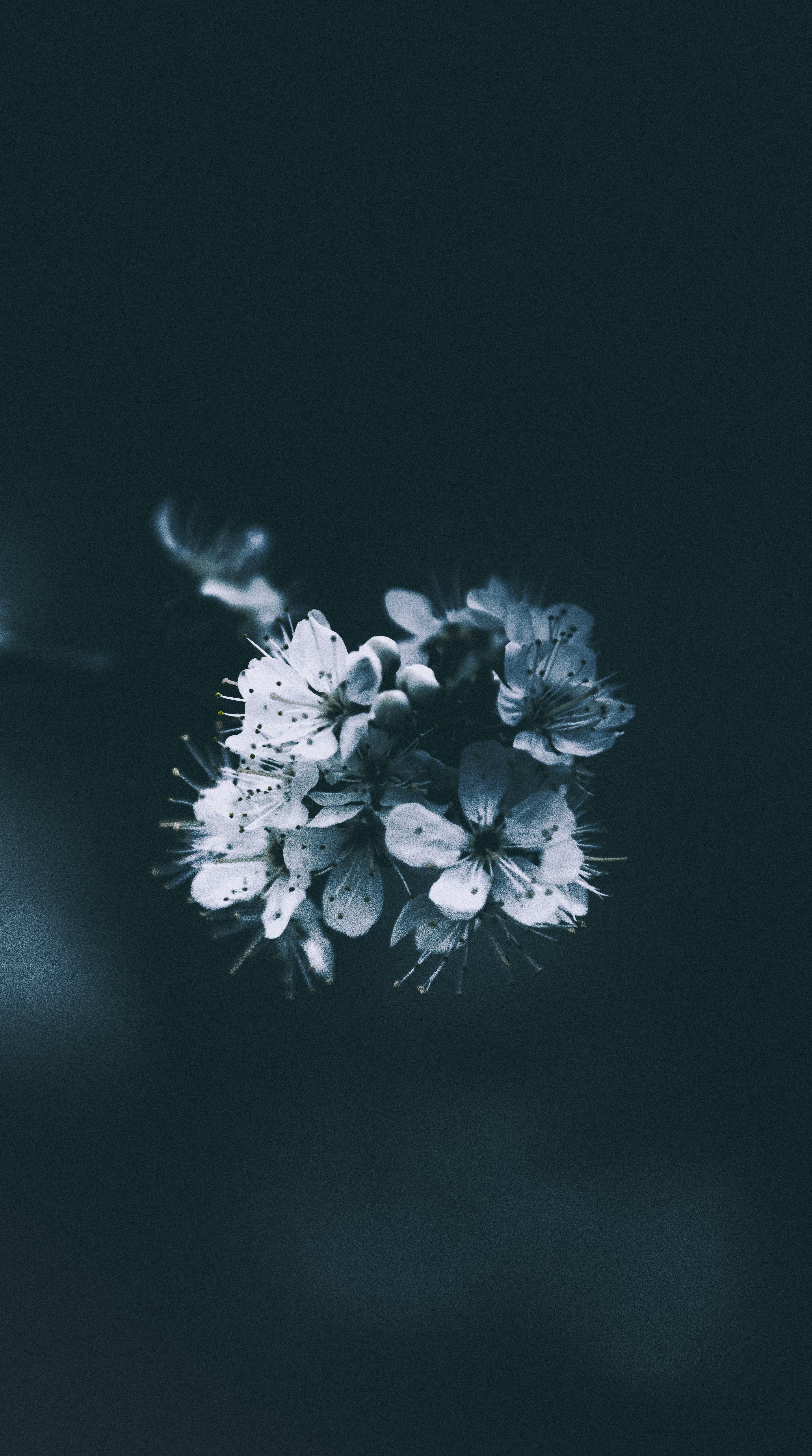 Photo by mathieubigard