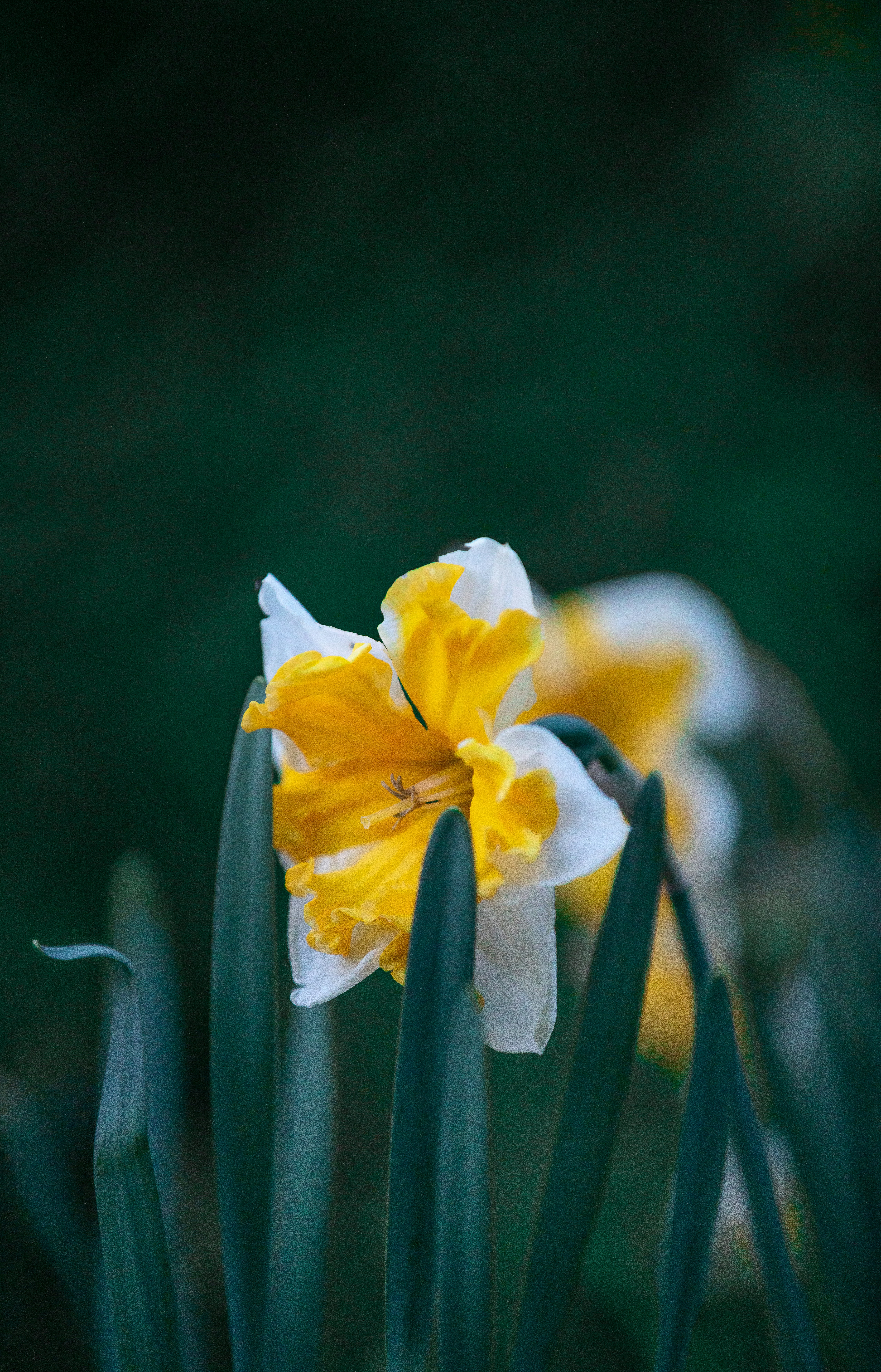 Photo by mathieubigard